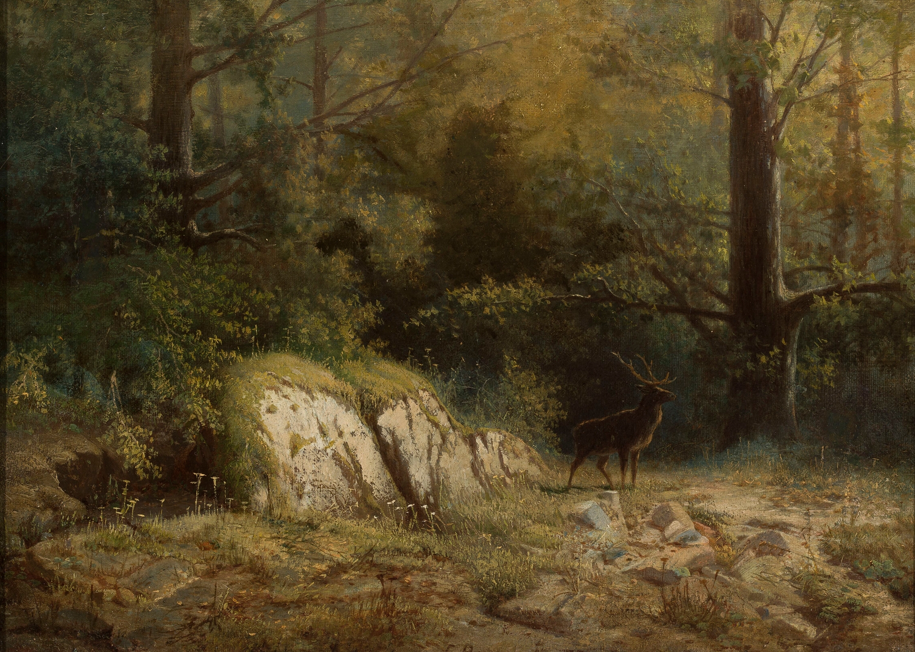 Forest landscape with a deer, oil on canvas by Feliks Brzozowski