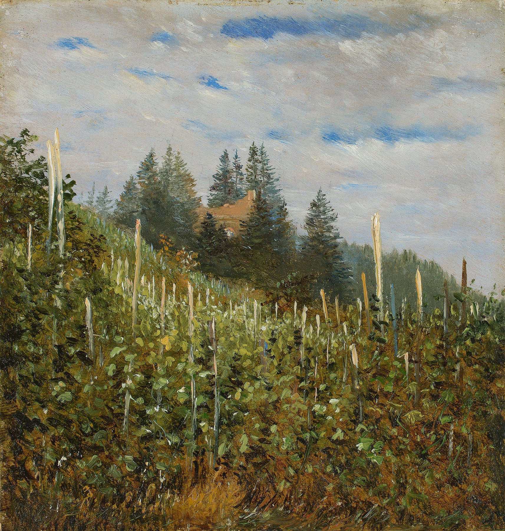 Vinyard in Pillnitz in early summer, by Carl Gustav Carus, public domain