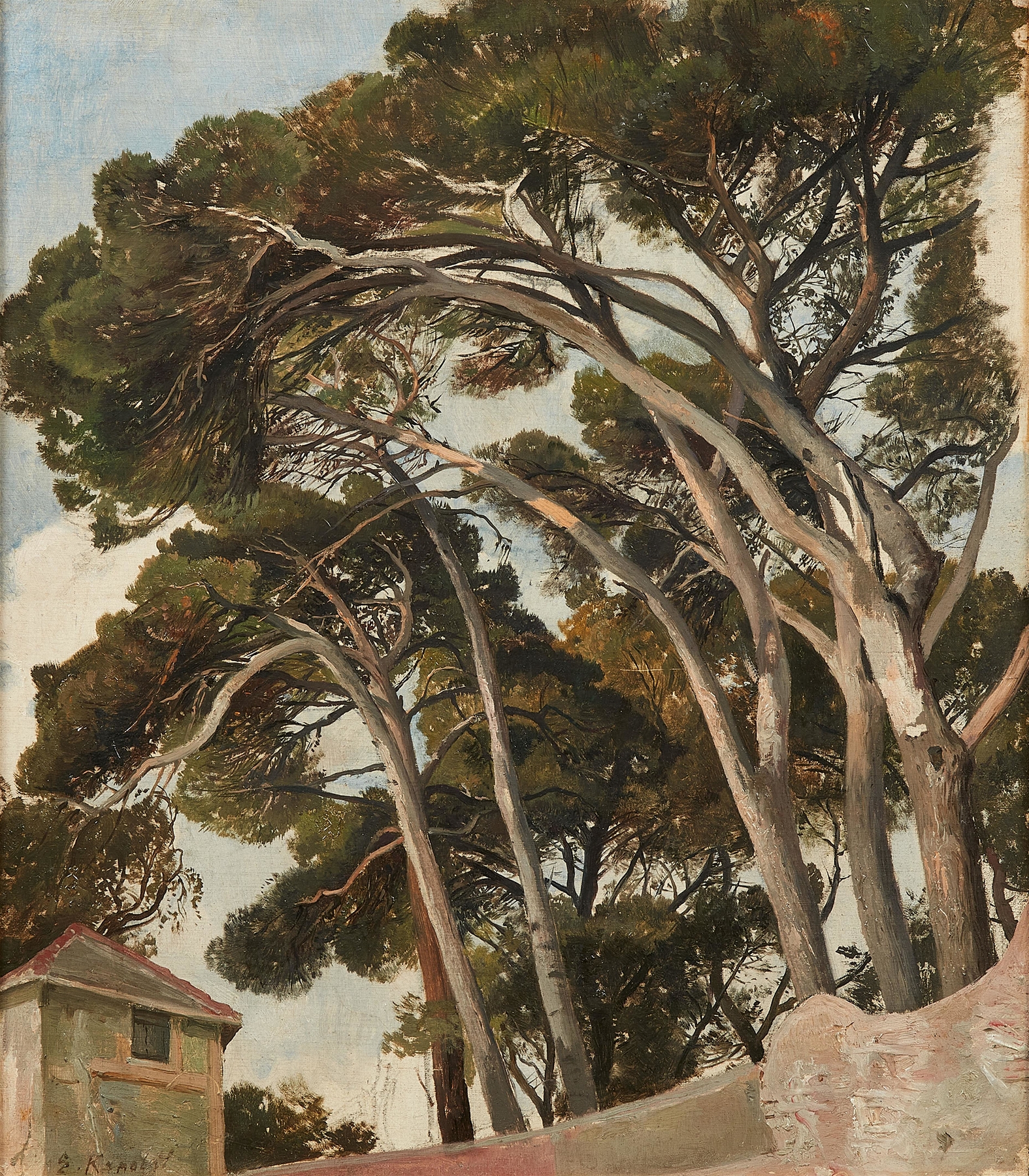 Landscape of pine trees in oil on canvas by Edmund Friedrich Kanoldt