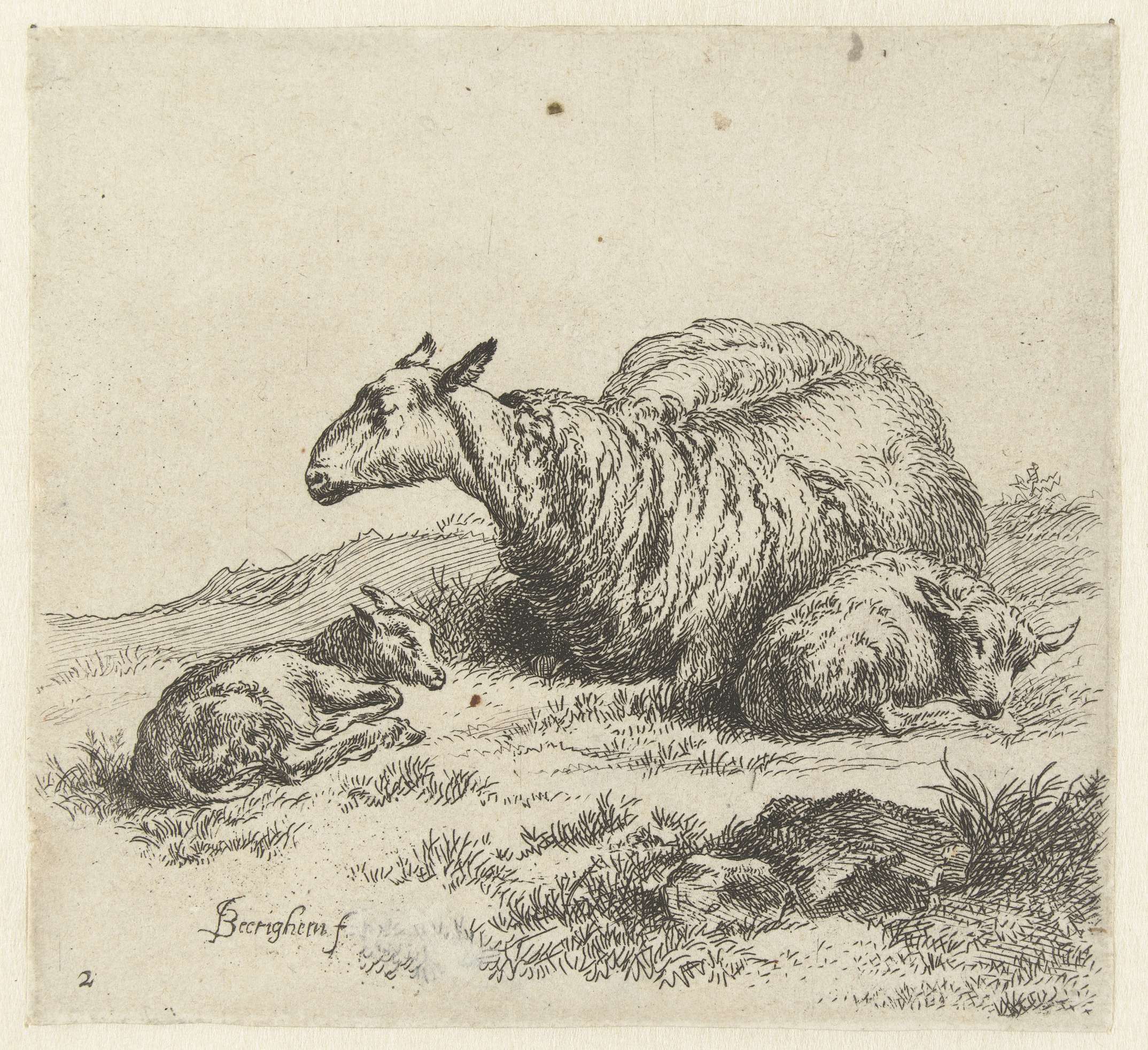 Ooi met twee lammeren, by Nicolaes Pietersz Berchem, public domain