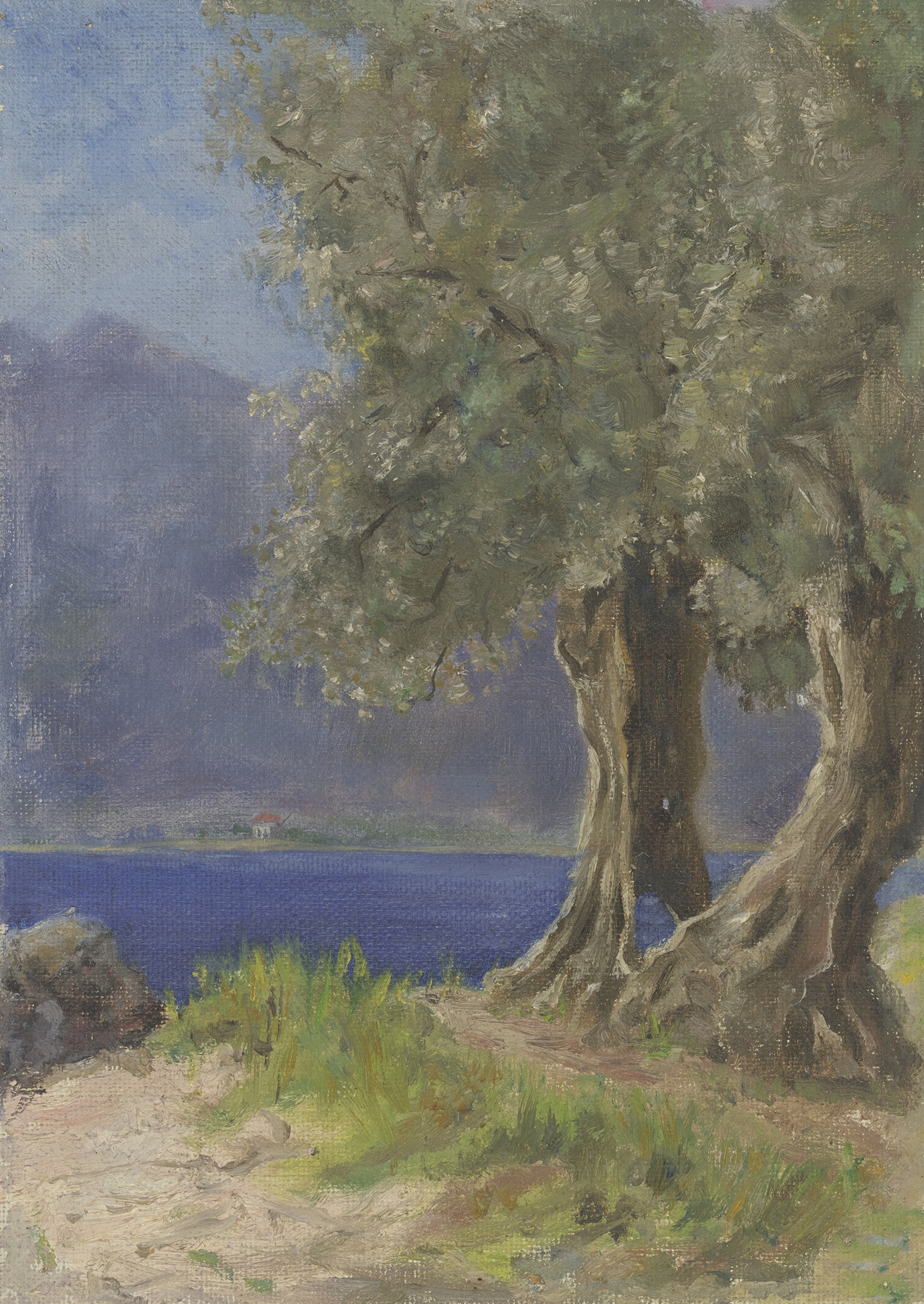 Olive trees by a serene lake in an oil painting by Fritz Hauck