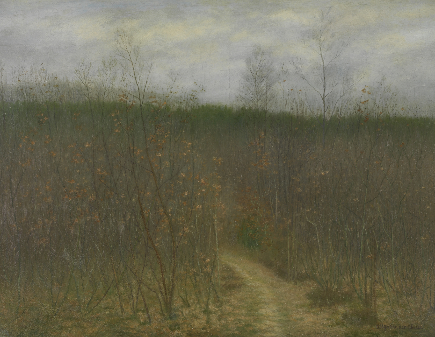 Coppice at Sint-Martens-Latem by Albijn Van den Abeele, oil painting of a tranquil forest scene.