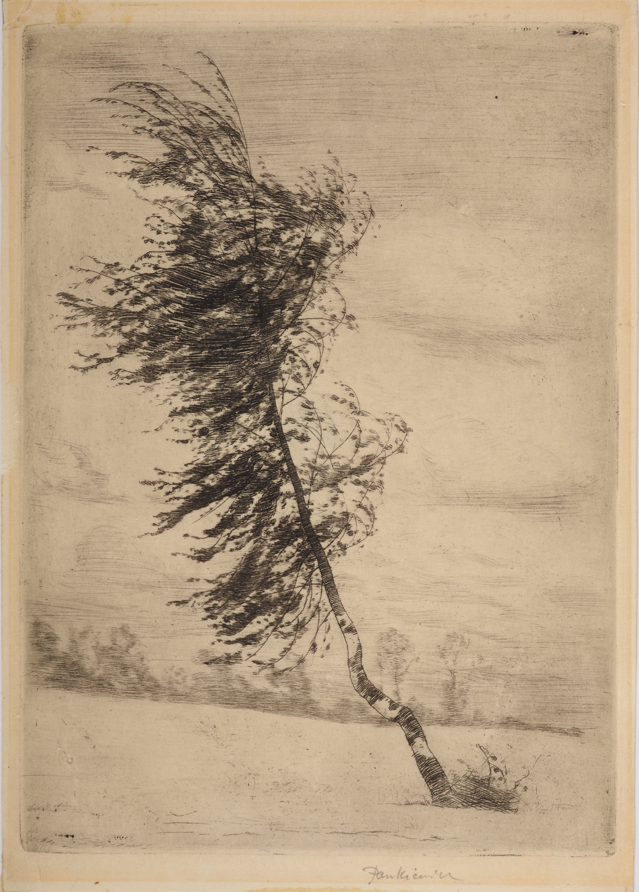 Birch in the wind, by Józef Pankiewicz, public domain
