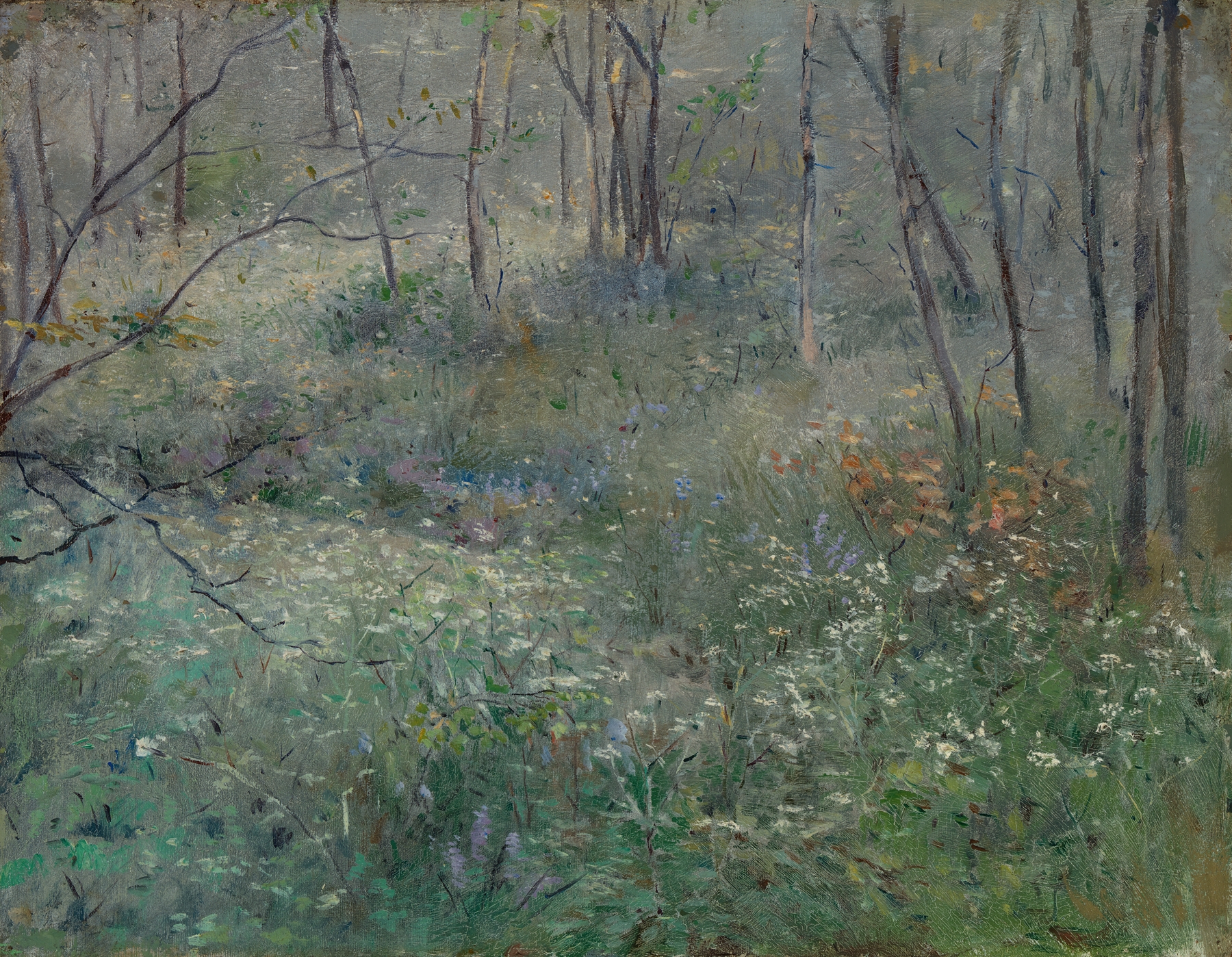 Wild Parsley watercolor on paper by Sarah Paxton Ball Dodson, featuring lush green leaves.