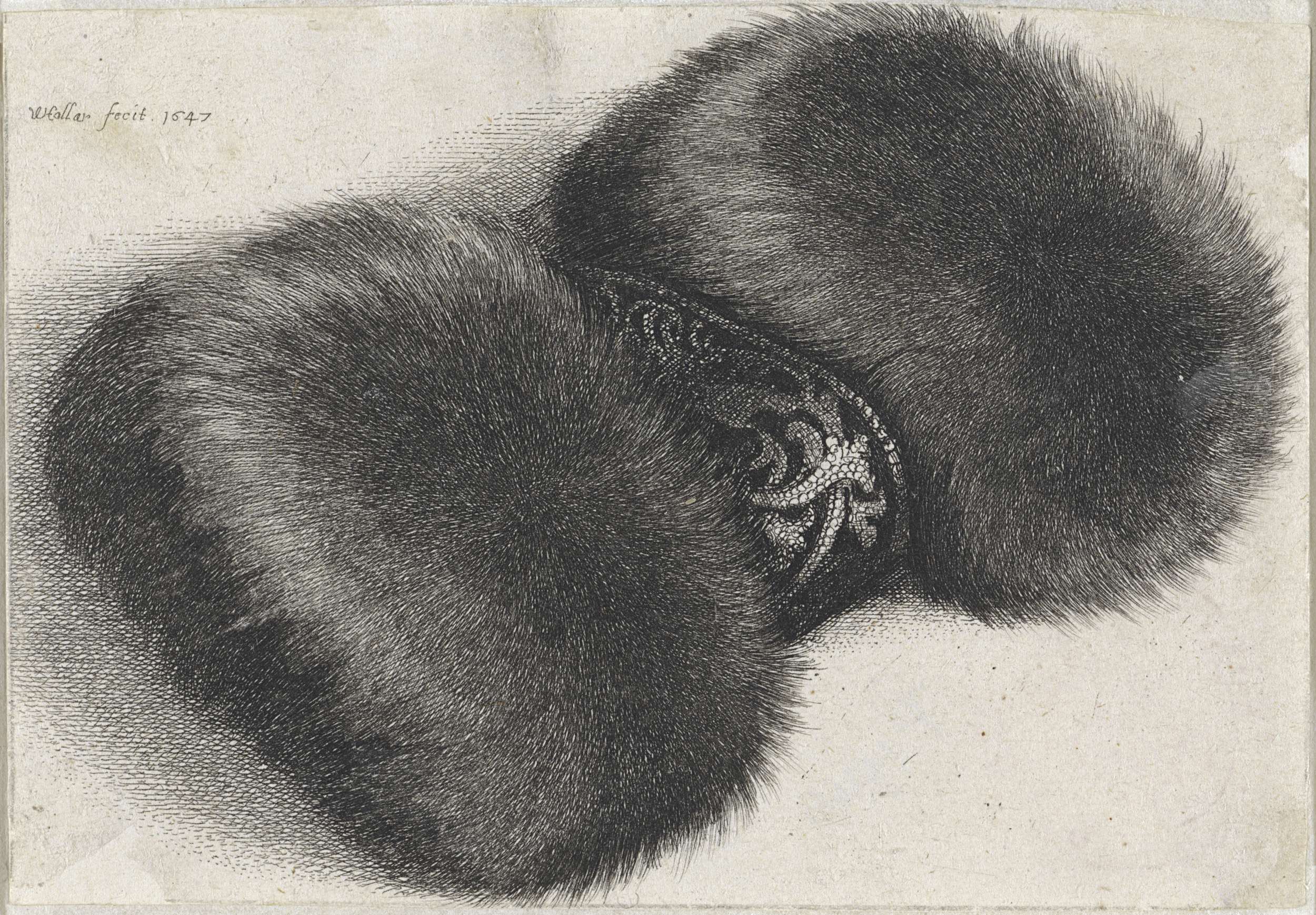 Brocade adorned with intricate details in an etching by Wenceslaus Hollar