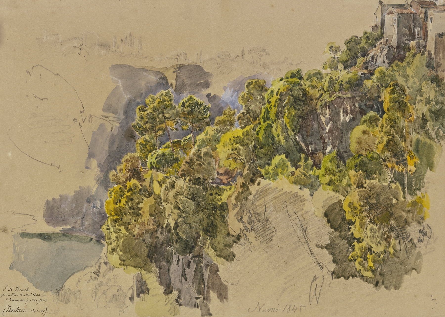 Felsabhang mit Bäumen bei Nemi by Johann Nepomuk Rauch, oil on canvas depicting trees and hills.