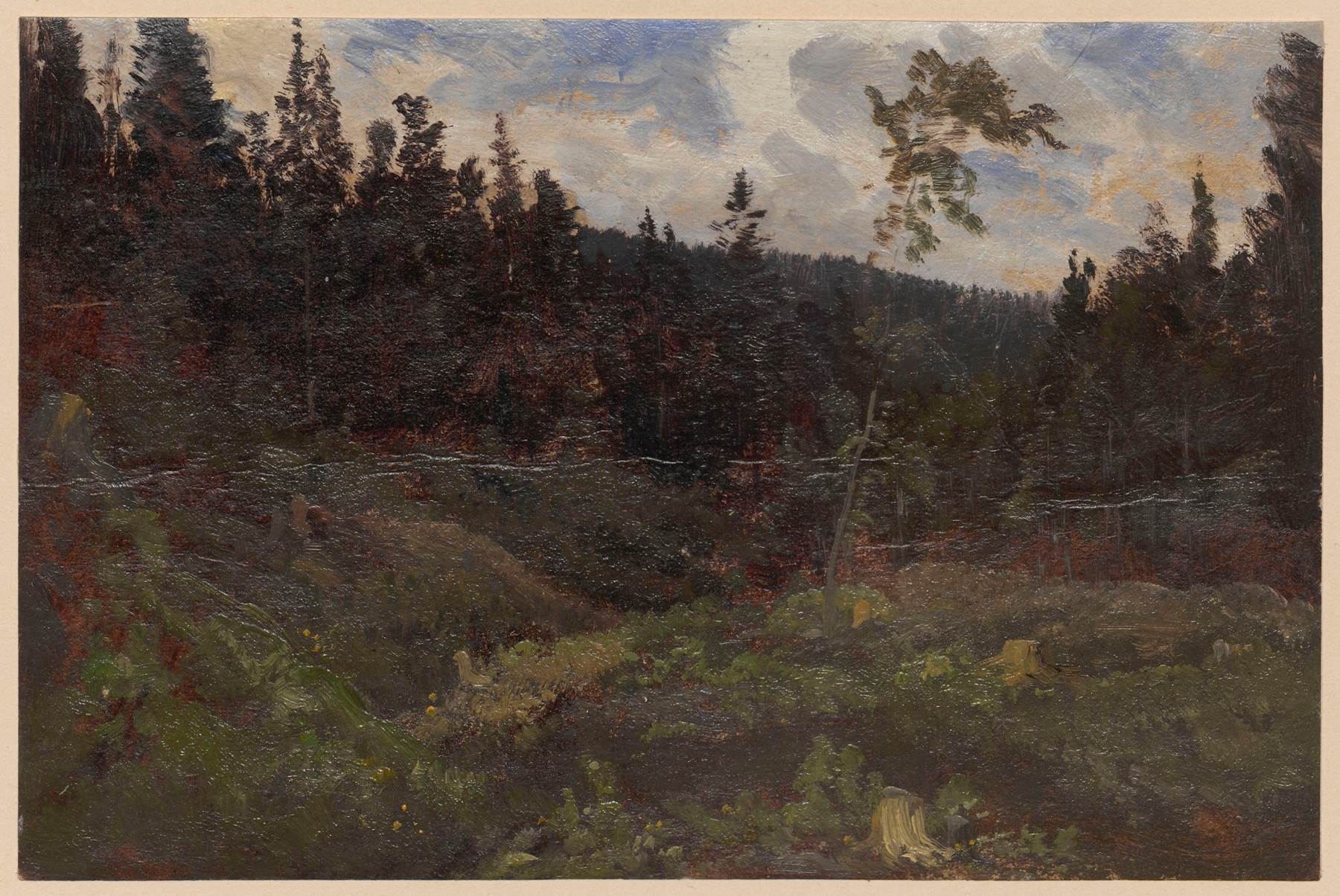 Clearing, by Adolf Dressler, public domain