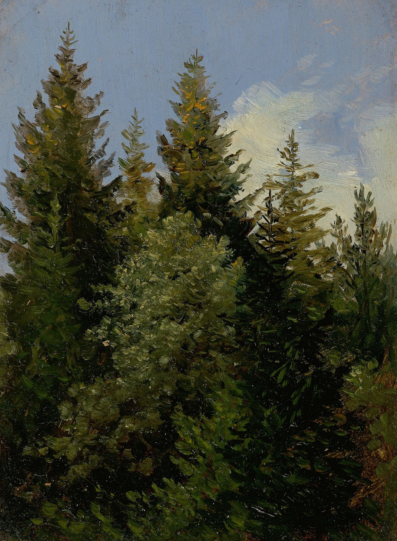 Firs, by Carl Gustav Carus, public domain