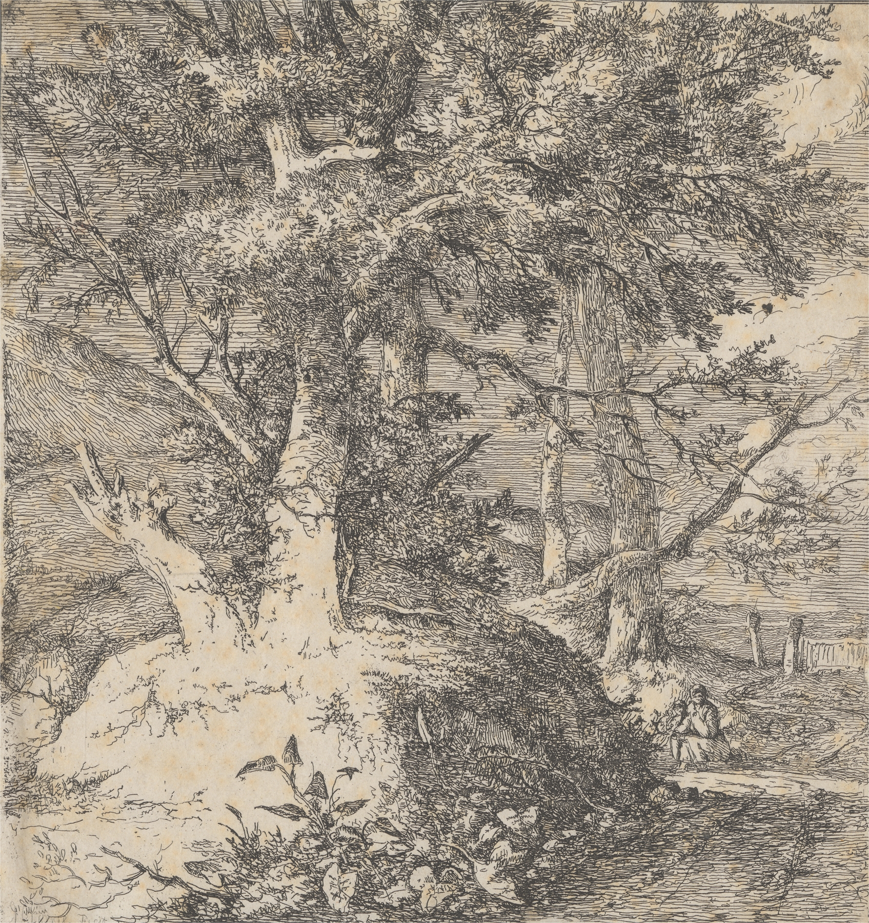 Wooded Landscape, by John Crome, public domain