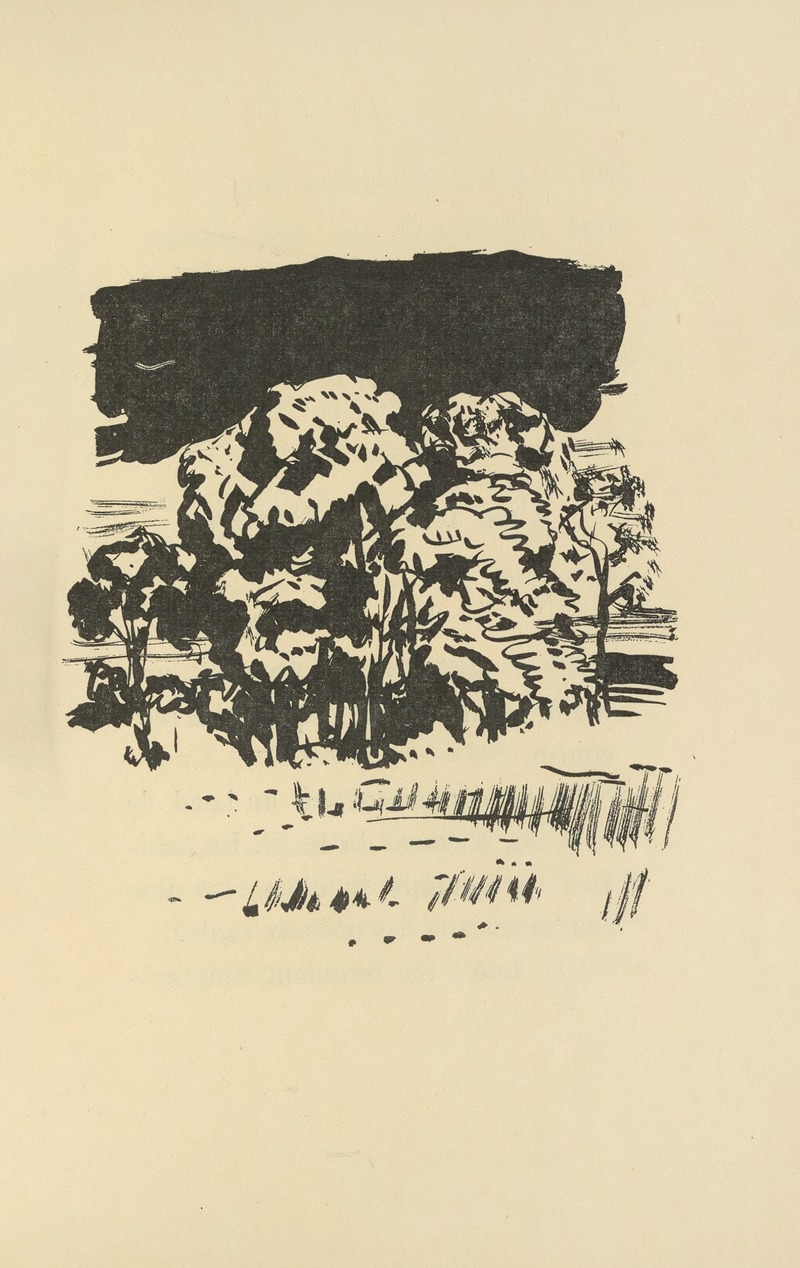 Pierre Bonnard's 'Histoires naturelles Pl 63' showcases vibrant colors and intricate details.