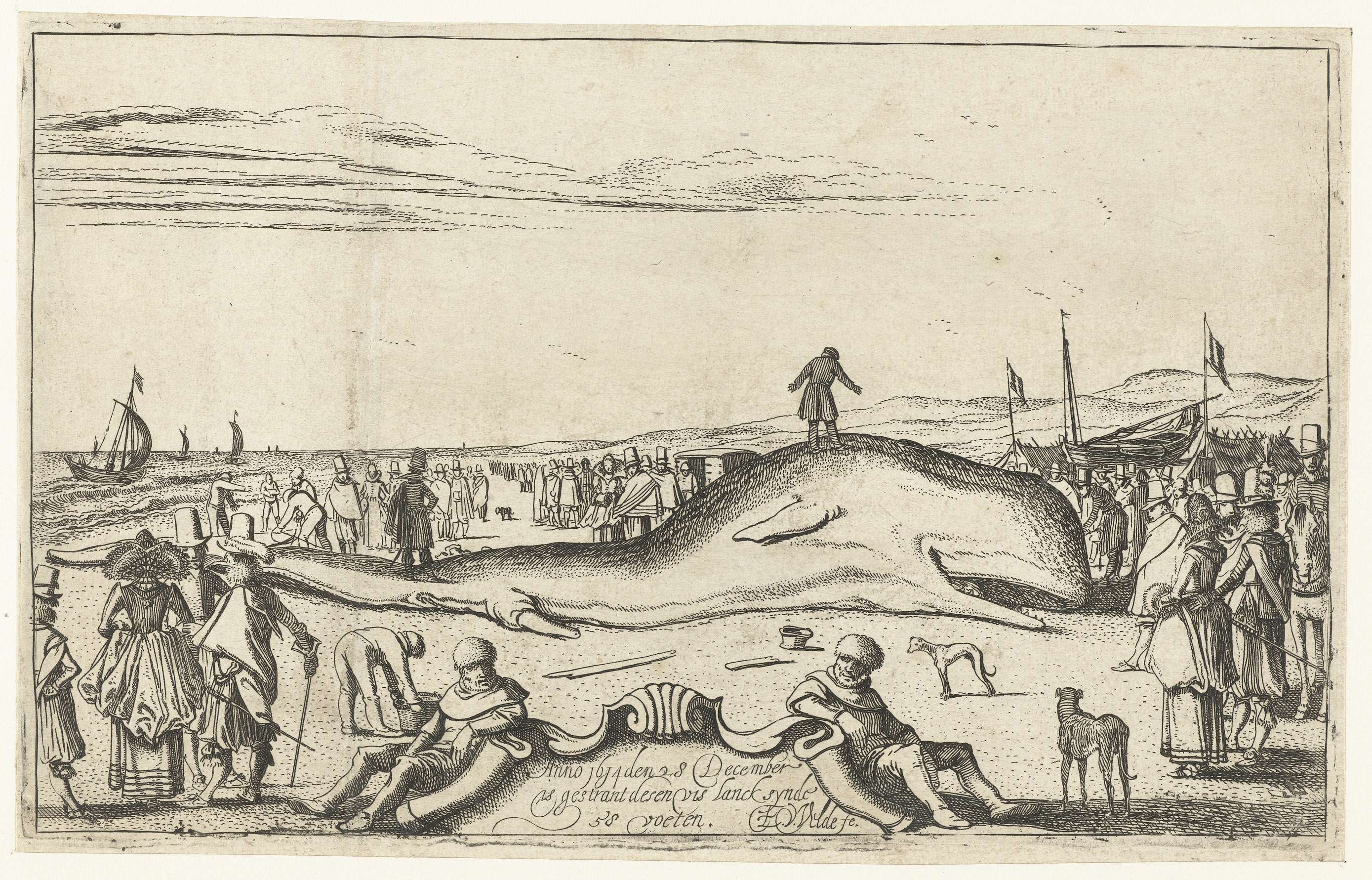 Gestrande walvis op het strand te Noordwijk, 1614, by Esaias van de Velde, public domain
