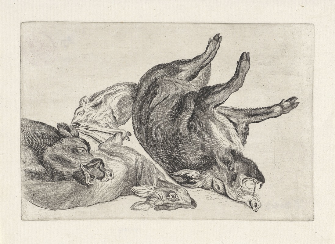 A dead wild boar lies on its side, with another boar resting its head on a dead deer.