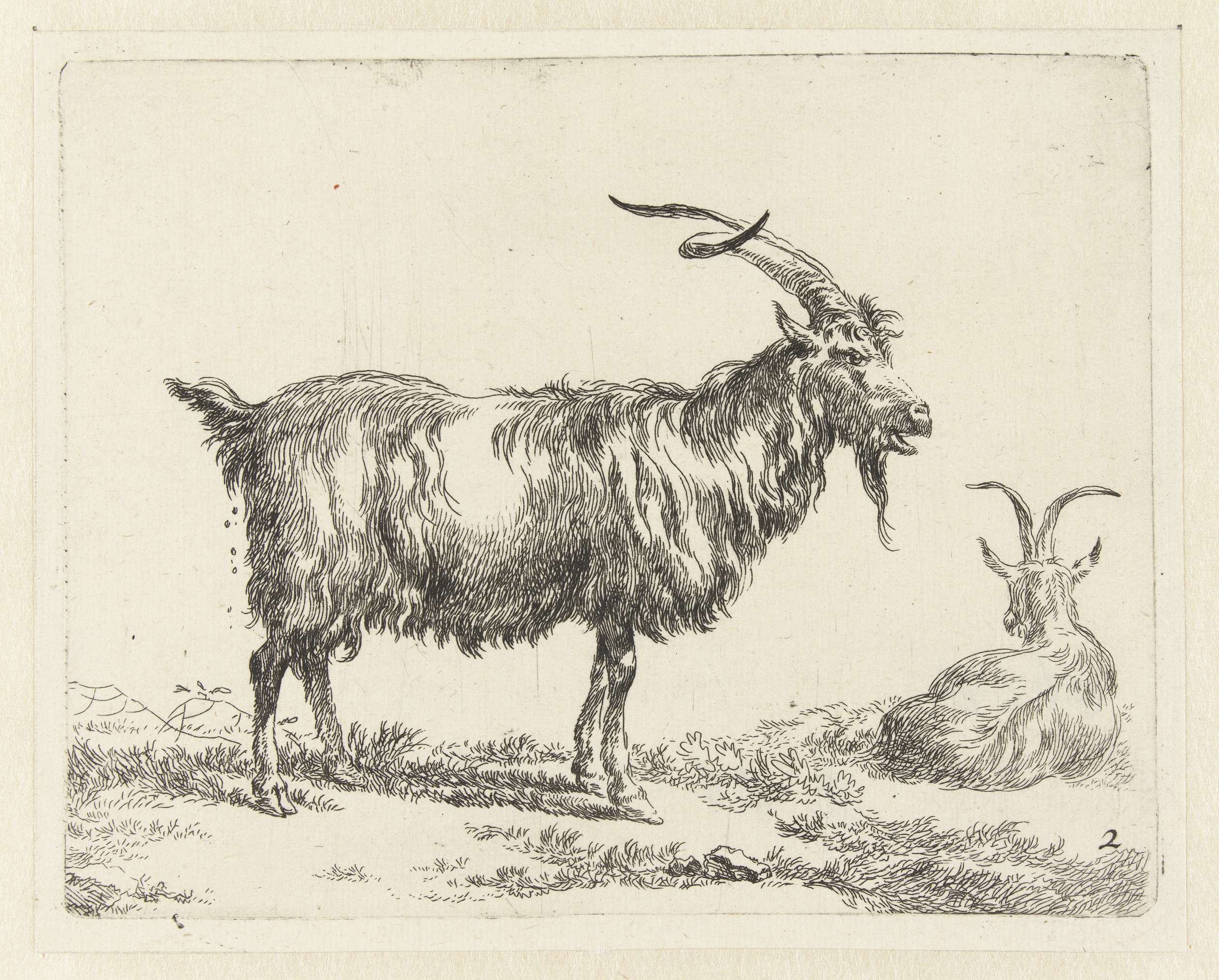 Twee geiten, by Nicolaes Pietersz Berchem, public domain