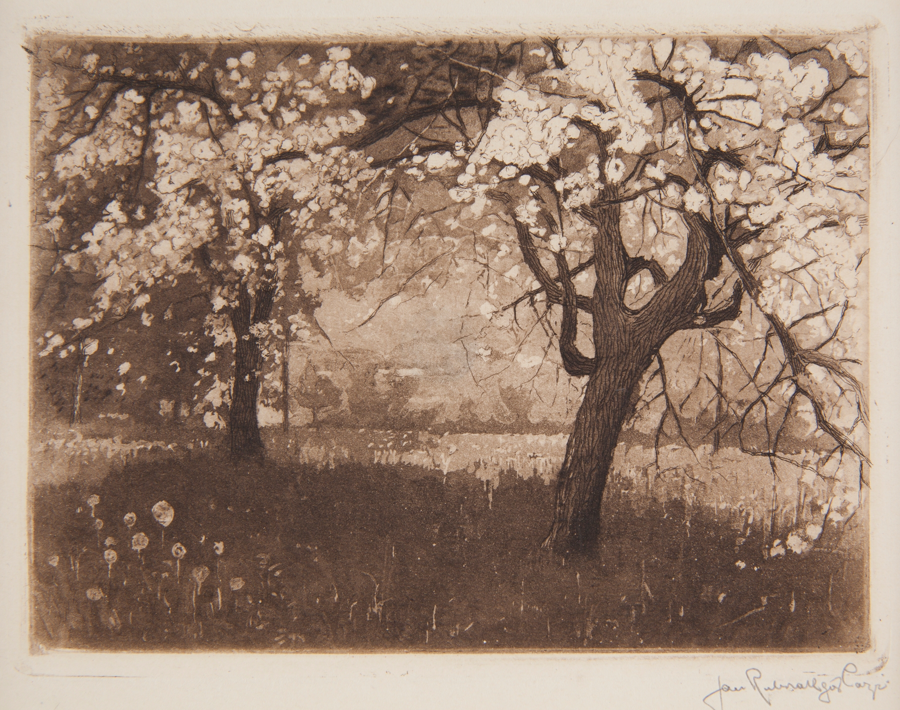 Impressionism artwork by Jan Rubczak depicting blossoming trees and light in a landscape