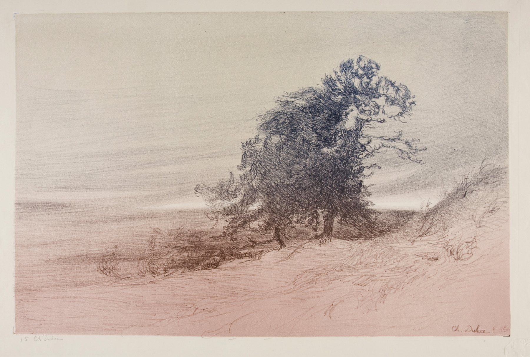 Groupe d’arbres by Charles Marie Dulac, oil on canvas depicting trees in a lush forest.