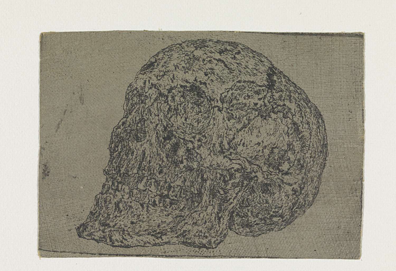 Etching of a skull by Hercules Segers with intricate details.