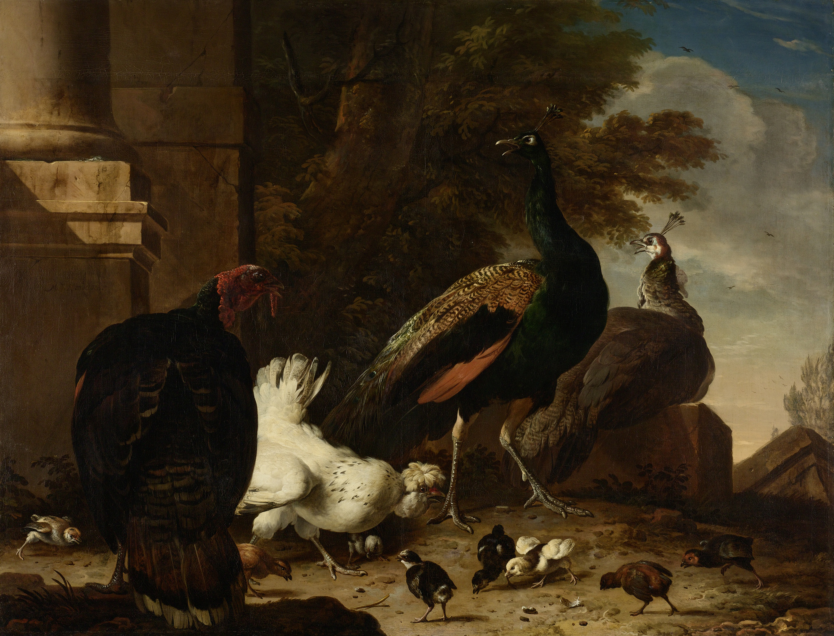 A Hen with Peacocks and a Turkey, by Melchior d'Hondecoeter, public domain