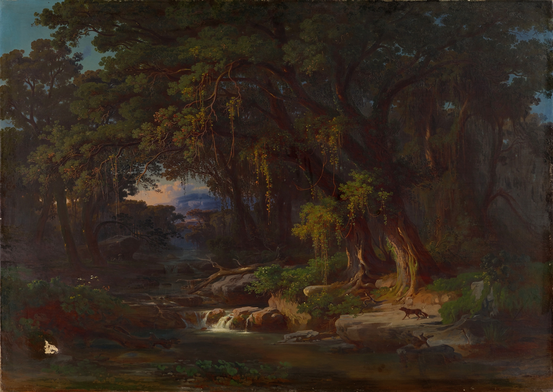 Forest landscape with golden light, oil on canvas by Johann Jakob Frey