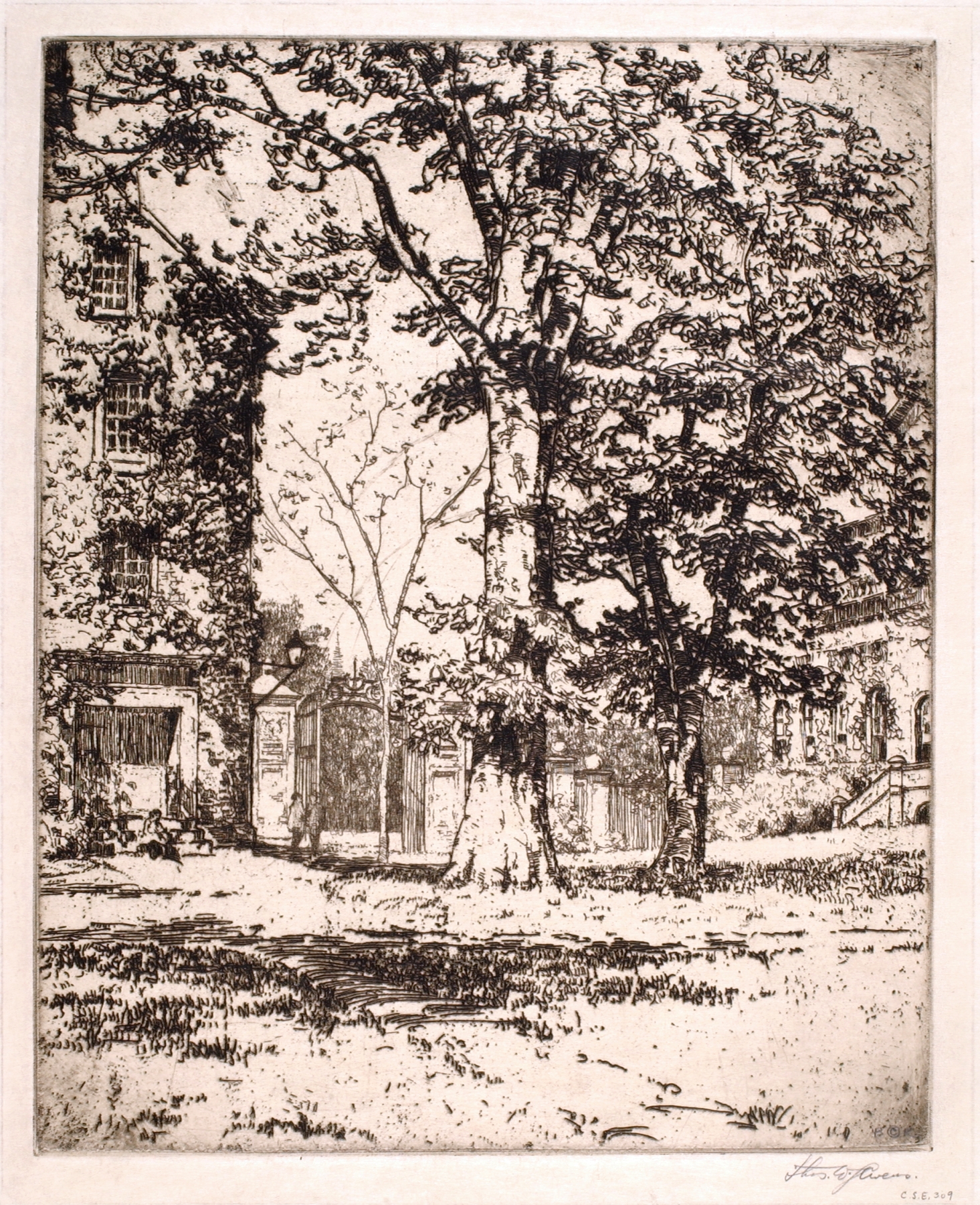 Landscape of Harvard Yard by Thomas Wood Stevens, depicting greenery and architecture.