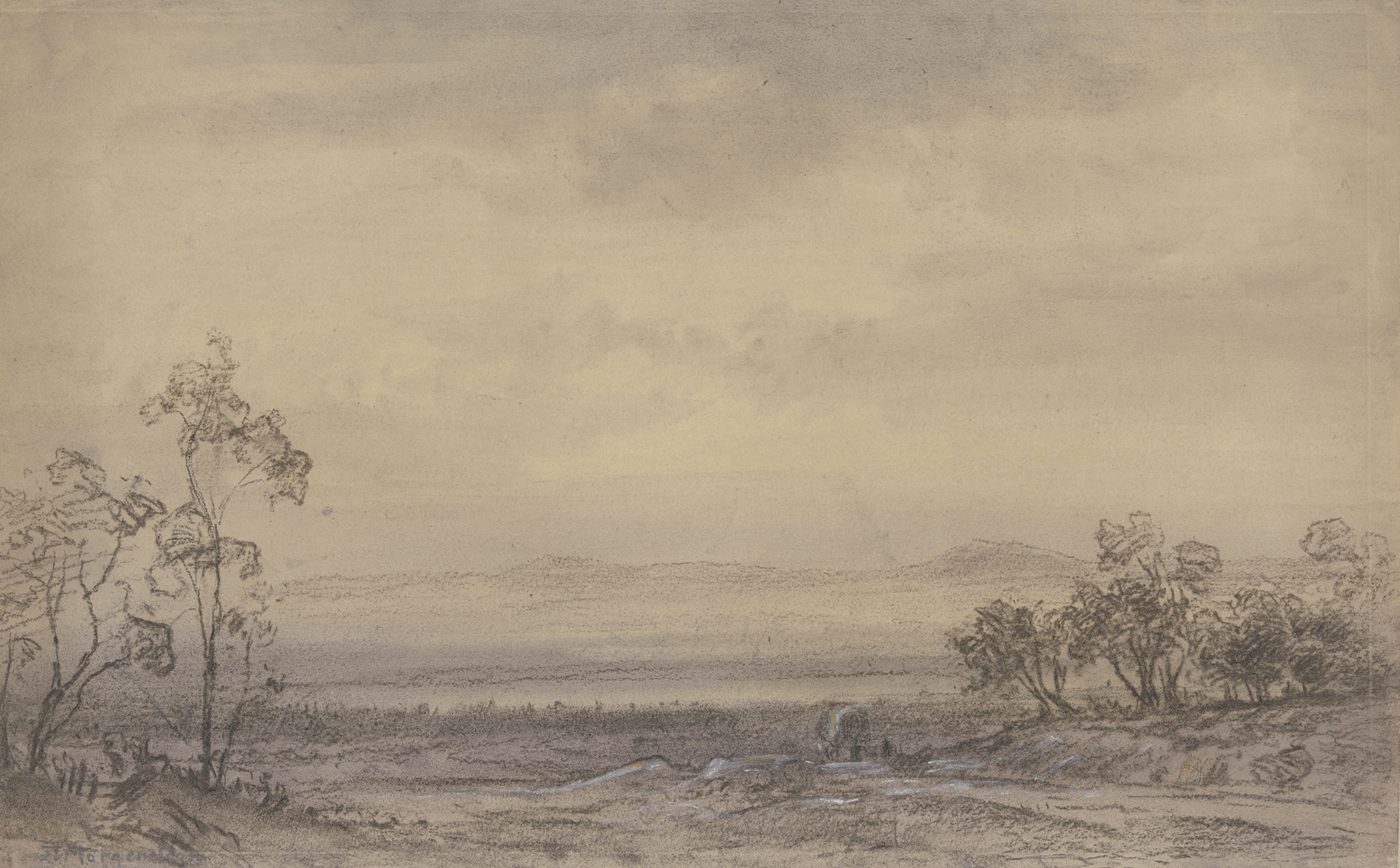 Heath landscape by Friedrich Ernst Morgenstern, oil painting depicting a stormy horizon with trees.