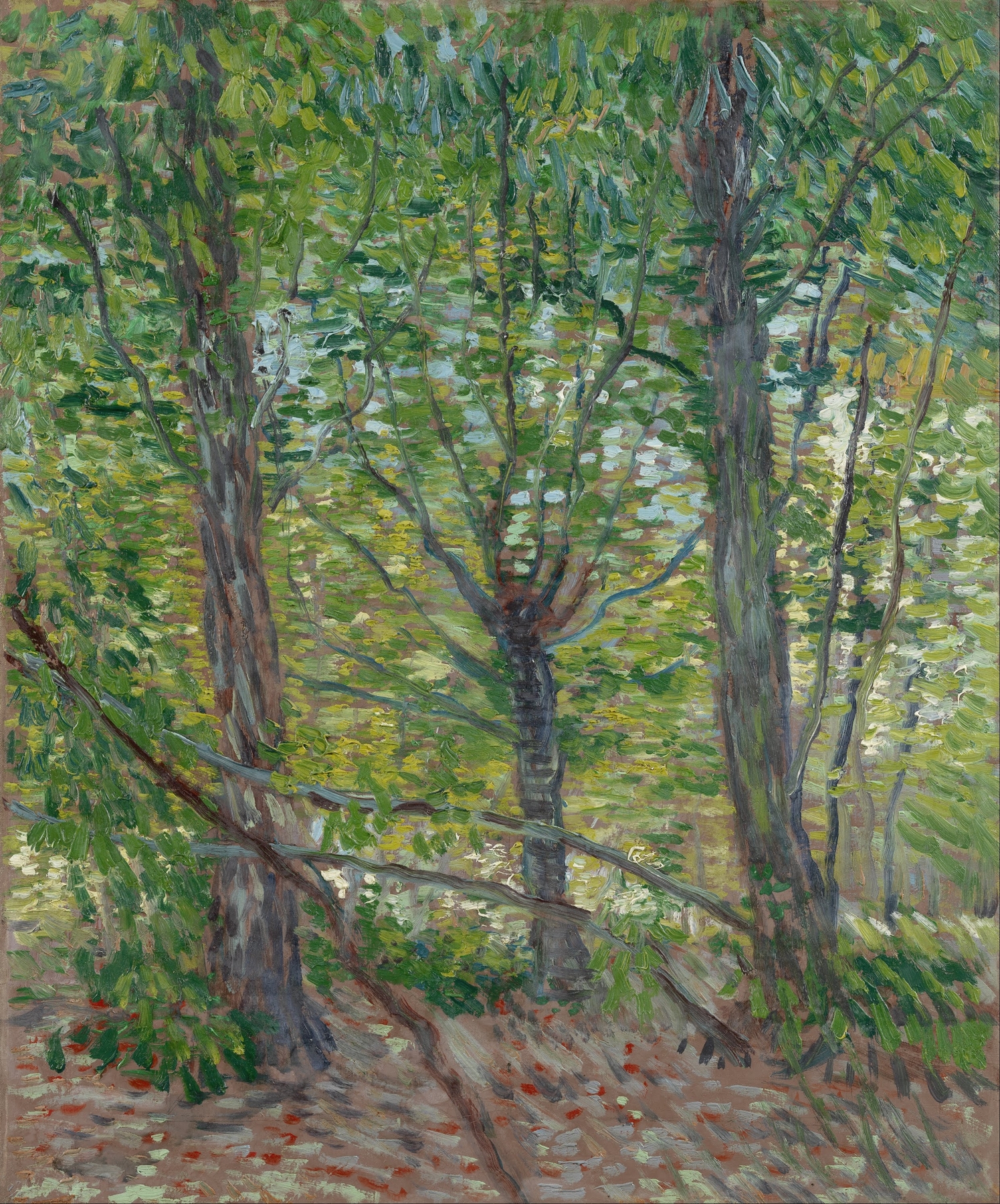 Trees by Vincent van Gogh, oil painting depicting swirling leaves and trunks in vibrant green.