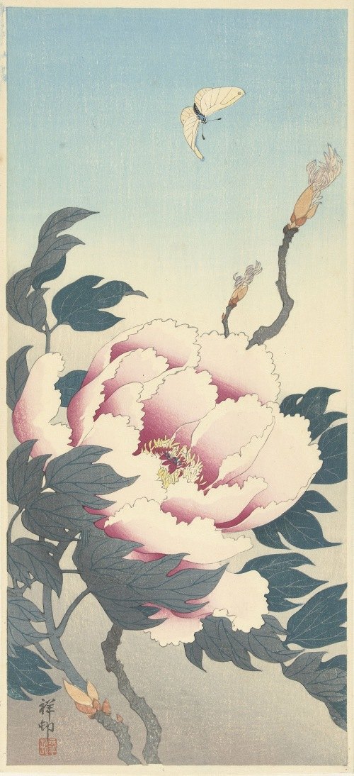 A beautiful depiction of a peony flower with a butterfly in a traditional Japanese style.