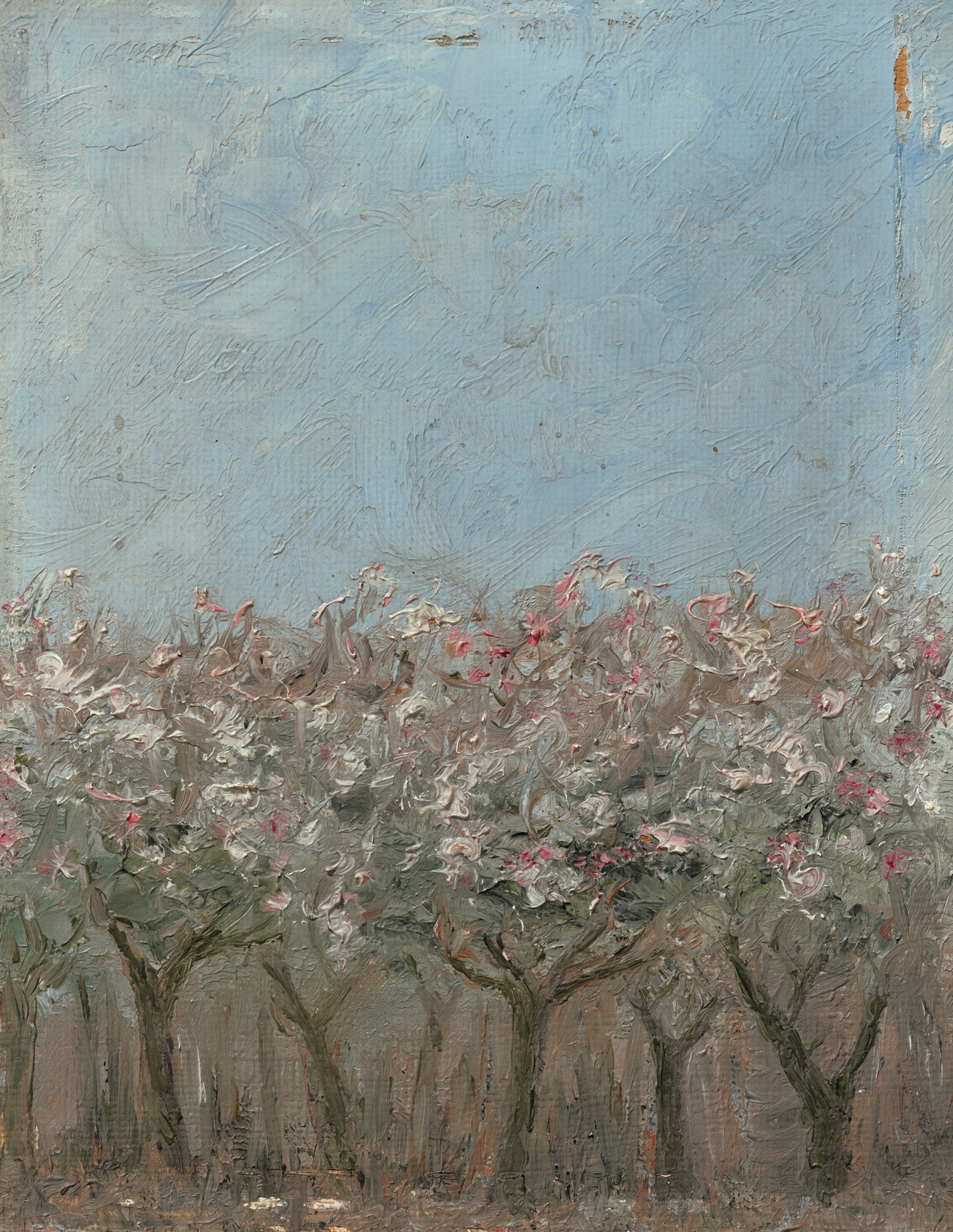 Apple trees in blossom by August Strindberg, Impressionism, depicting vibrant flowers in spring.