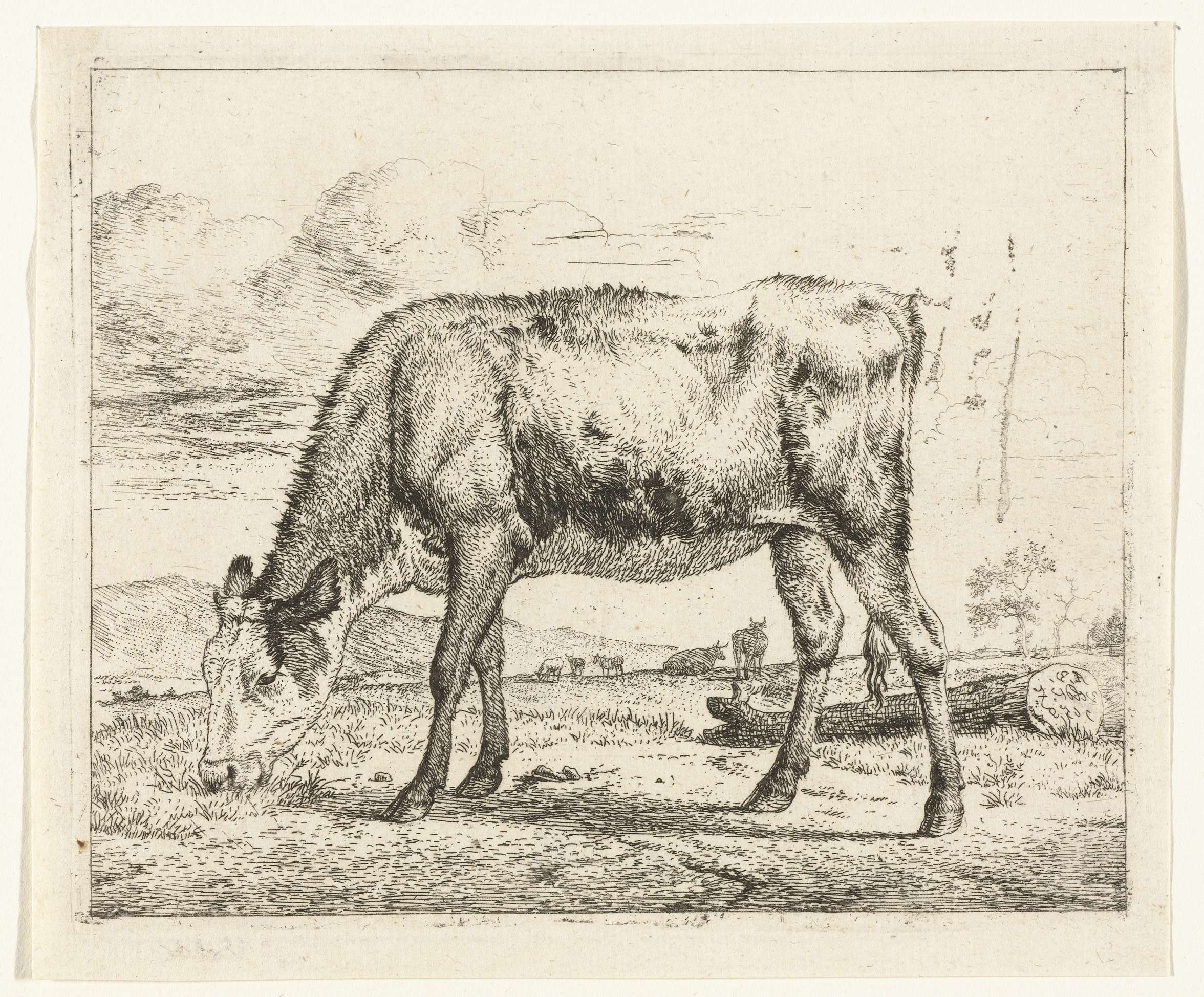 Grazend kalf, by Adriaen van de Velde, public domain