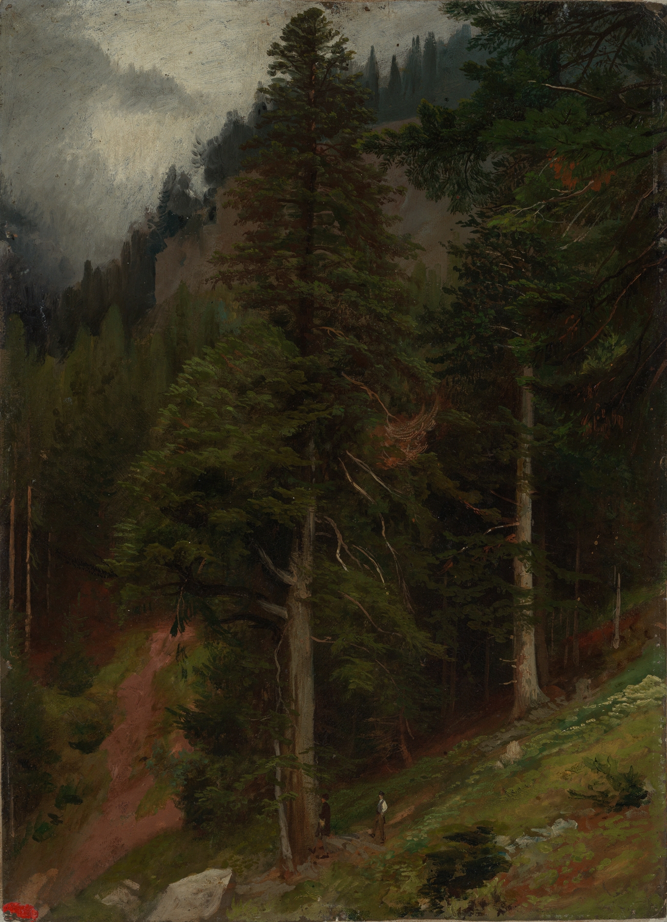 Forest landscape with conifers, oil on canvas by Johann Wilhelm Schirmer