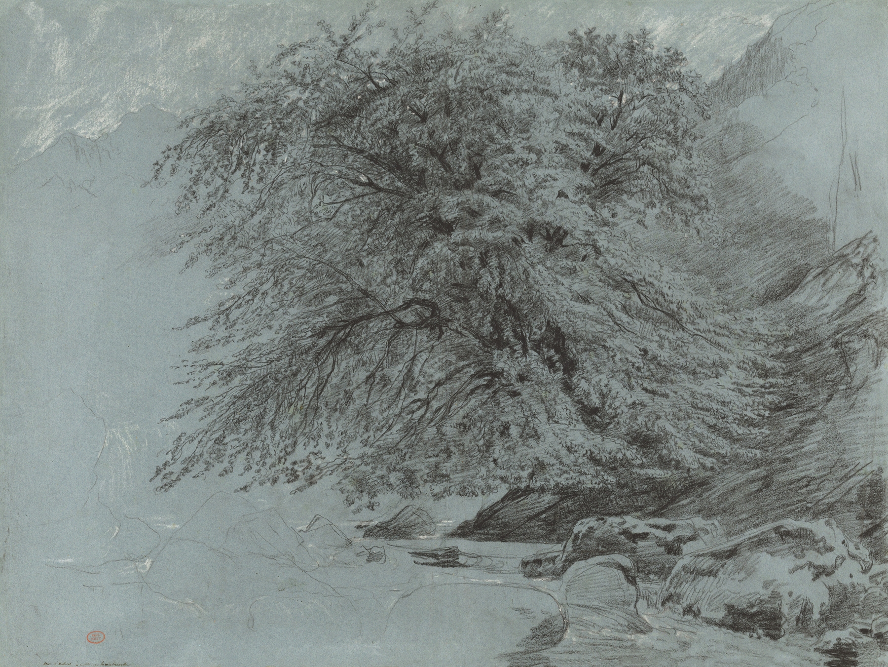 A Wild Beech in Full Leaf by Paul Huet, oil painting of a solitary beech tree in lush foliage.