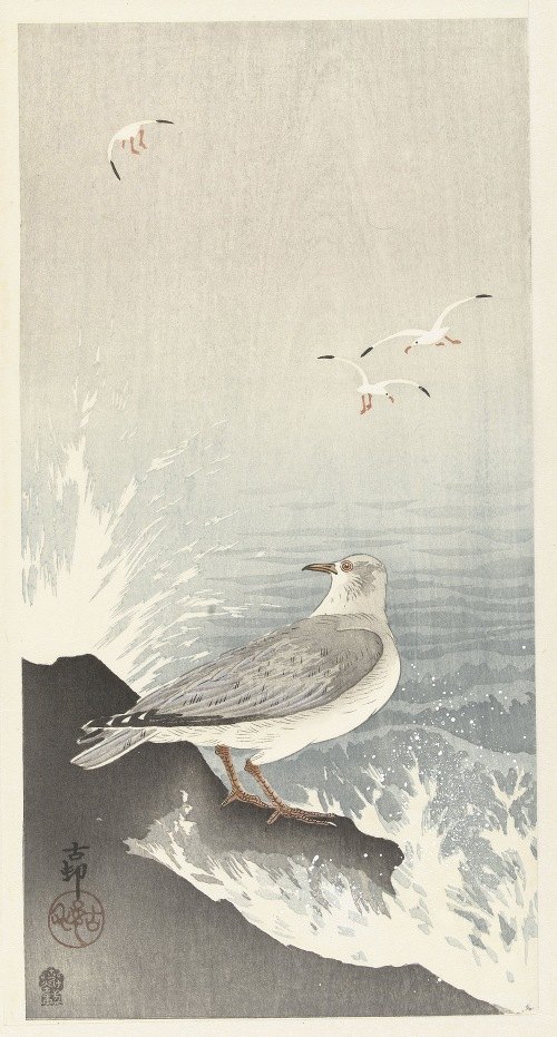A serene depiction of a seagull perched on a rock, showcasing the beauty of nature.