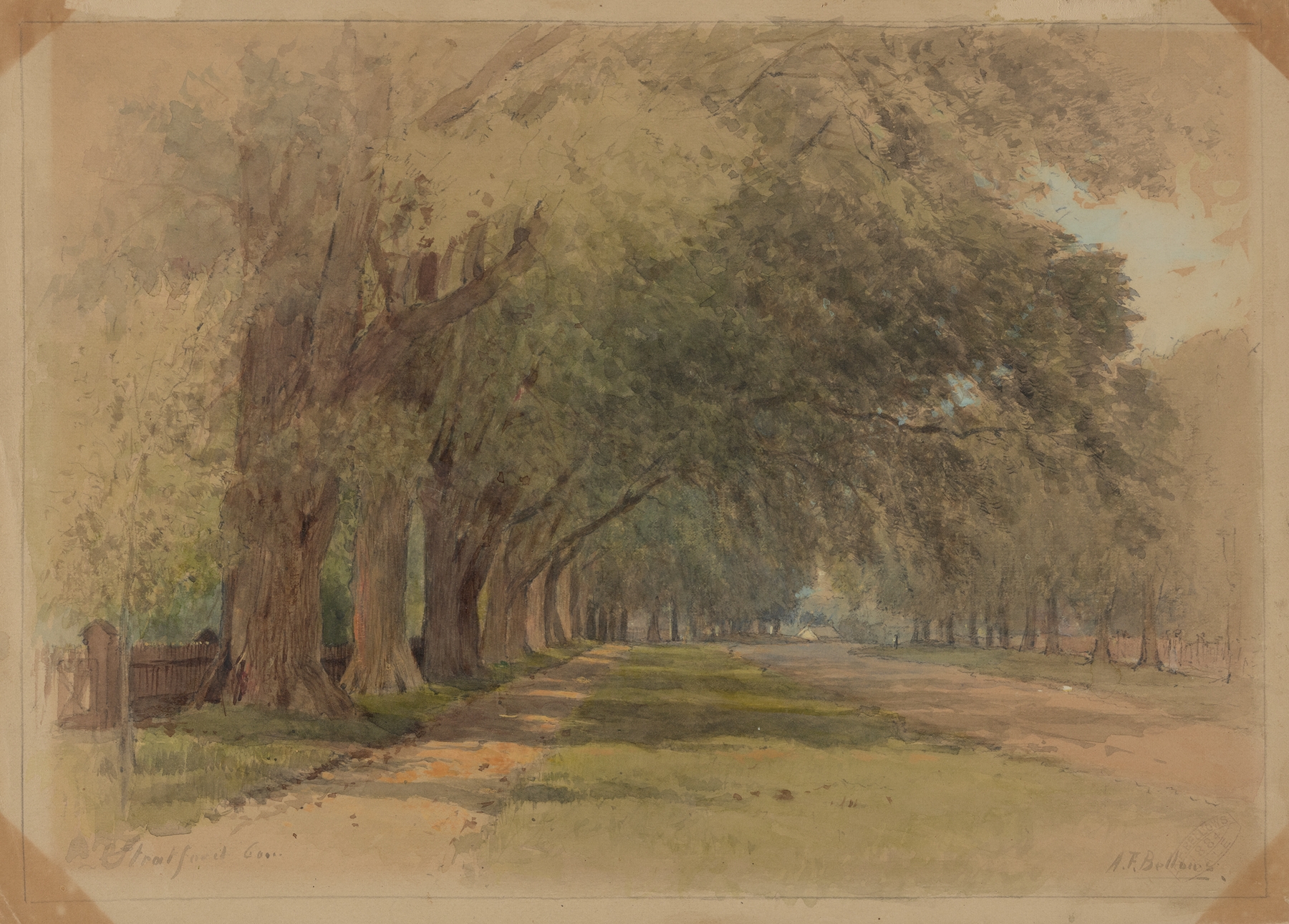Lush landscape with trees and sunlight, oil on canvas by Albert Fitch Bellows