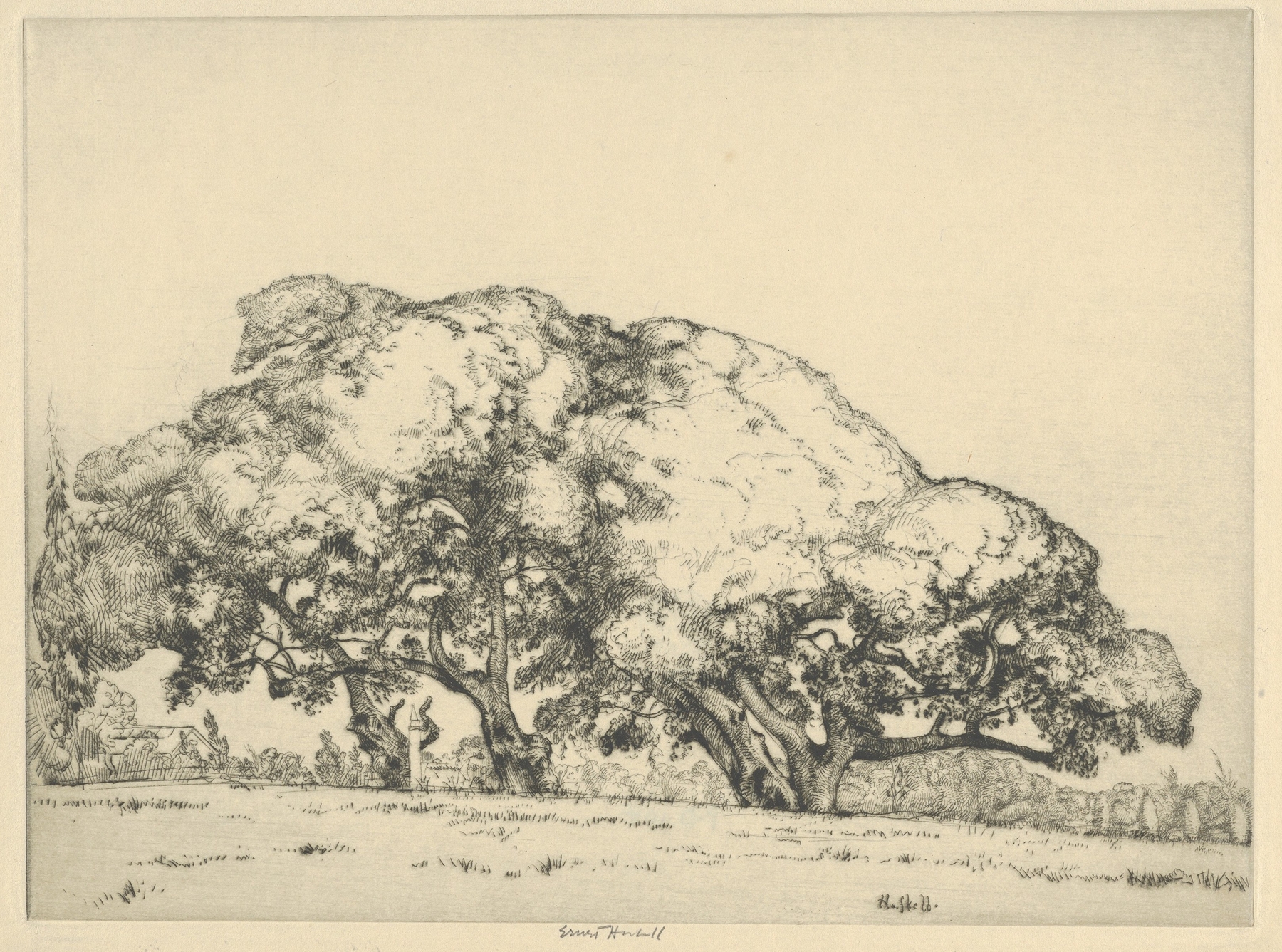 Four Live Oaks, by Ernest Haskell, public domain