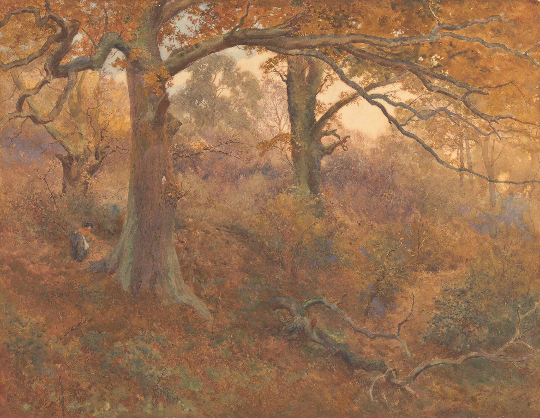 Forest Landscape by John William North, oil painting depicting a serene glade with dappled sunlight.