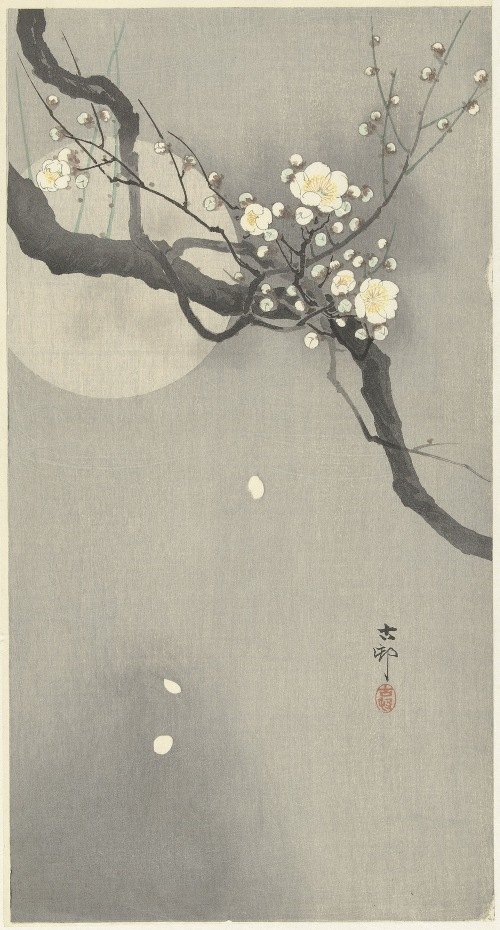 A serene depiction of plum blossoms against a full moon.