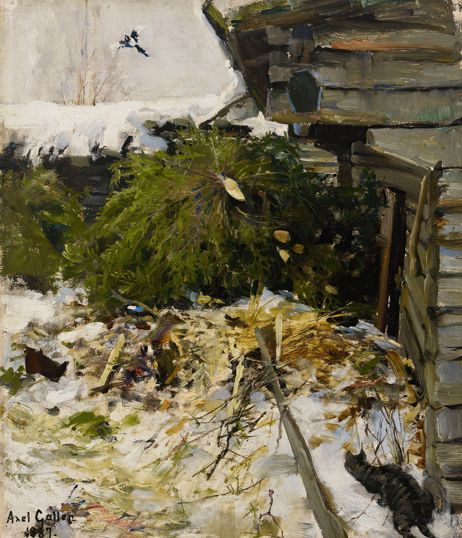 Spruces in a Farmyard, by Akseli Gallen-Kallela, public domain