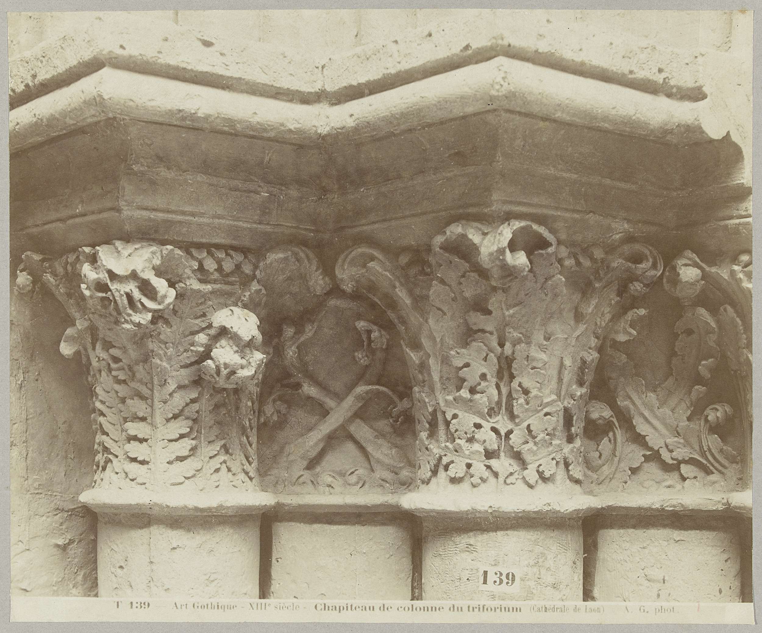 Kapitelen met bladmotief by Adolphe Giraudon, albumen print showing intricate leaf motifs on cathedral stone.