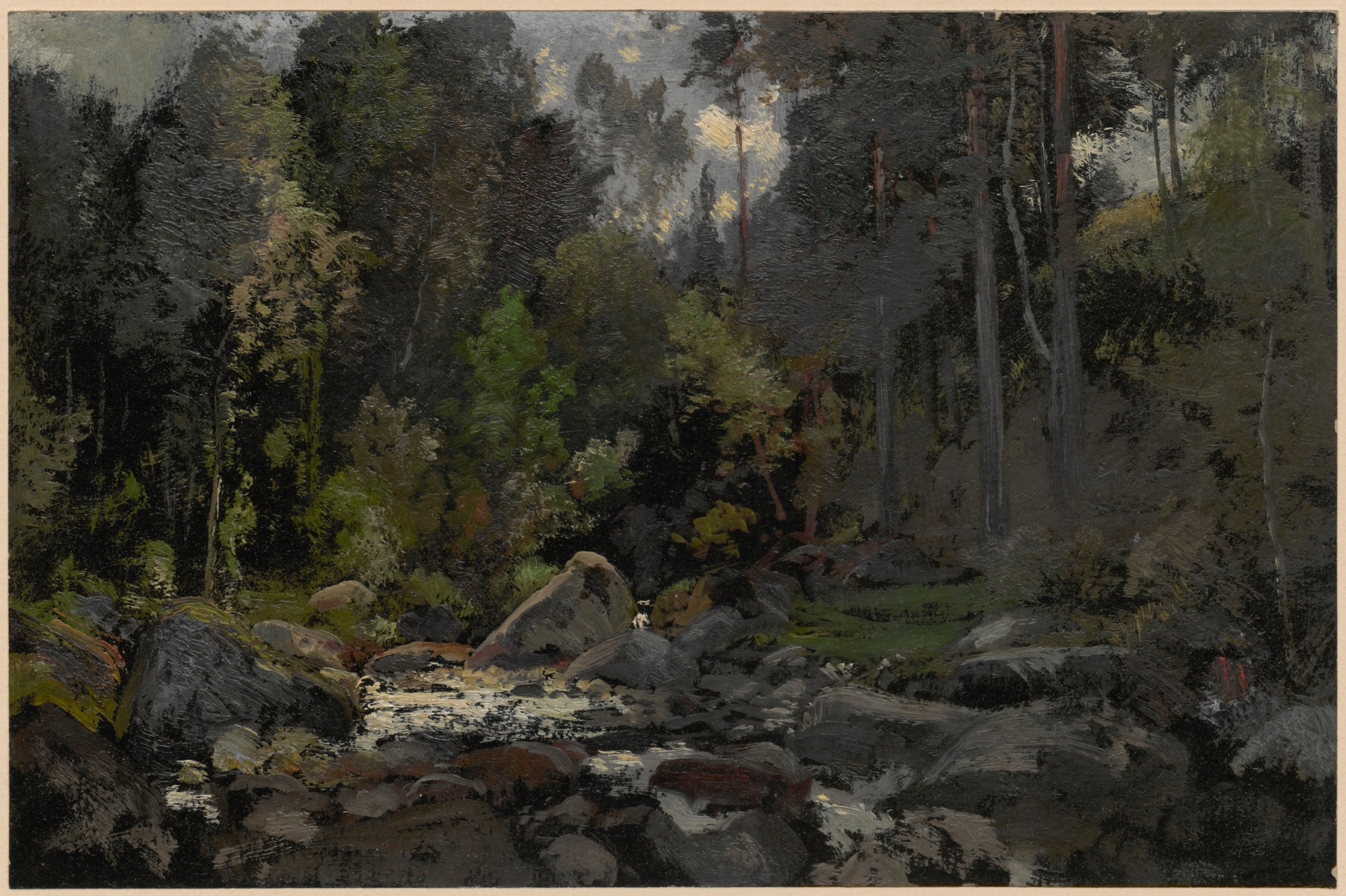Forest stream in Przesieka, by Adolf Dressler, public domain
