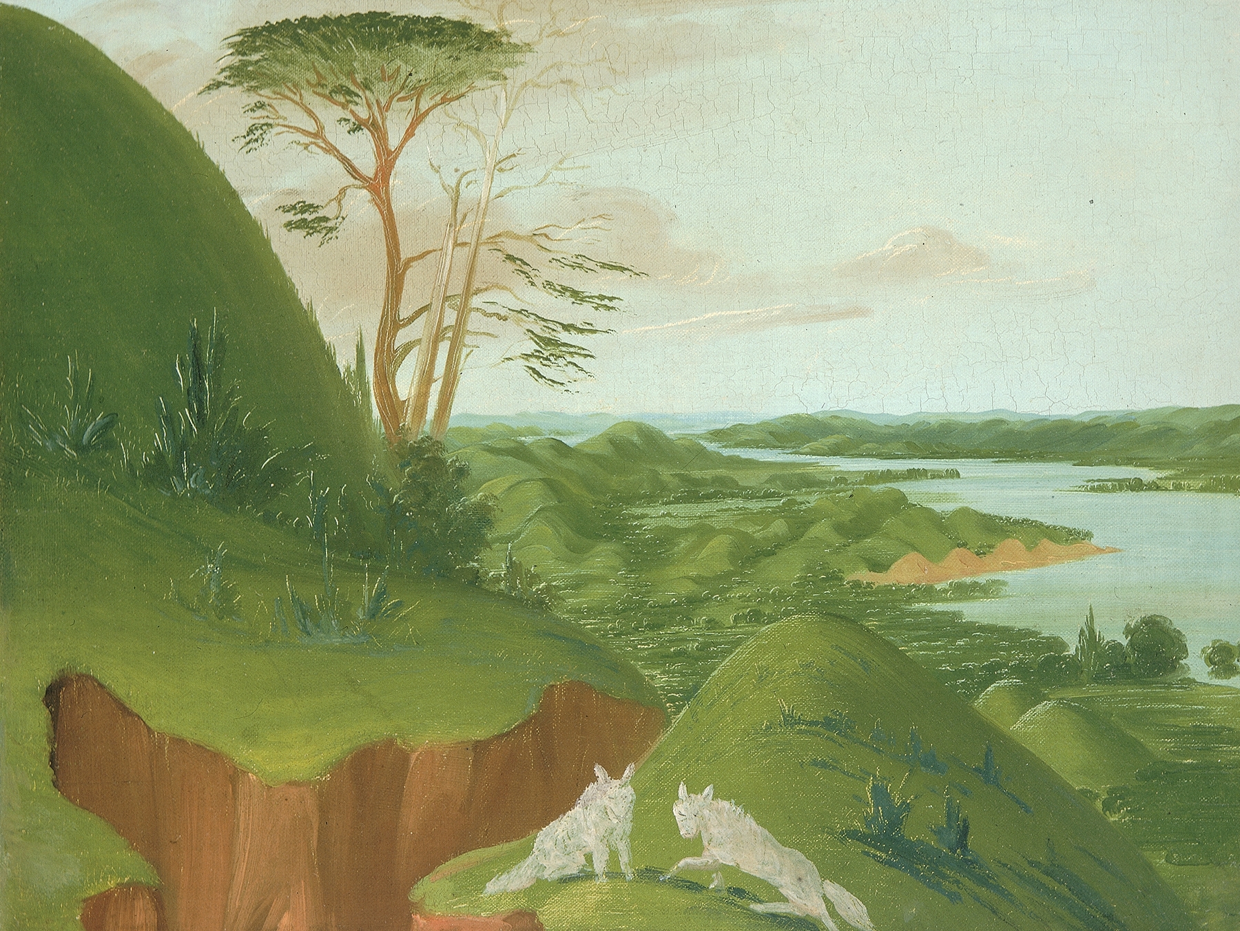 River Bluffs With White Wolves In The Foreground, oil painting by George Catlin