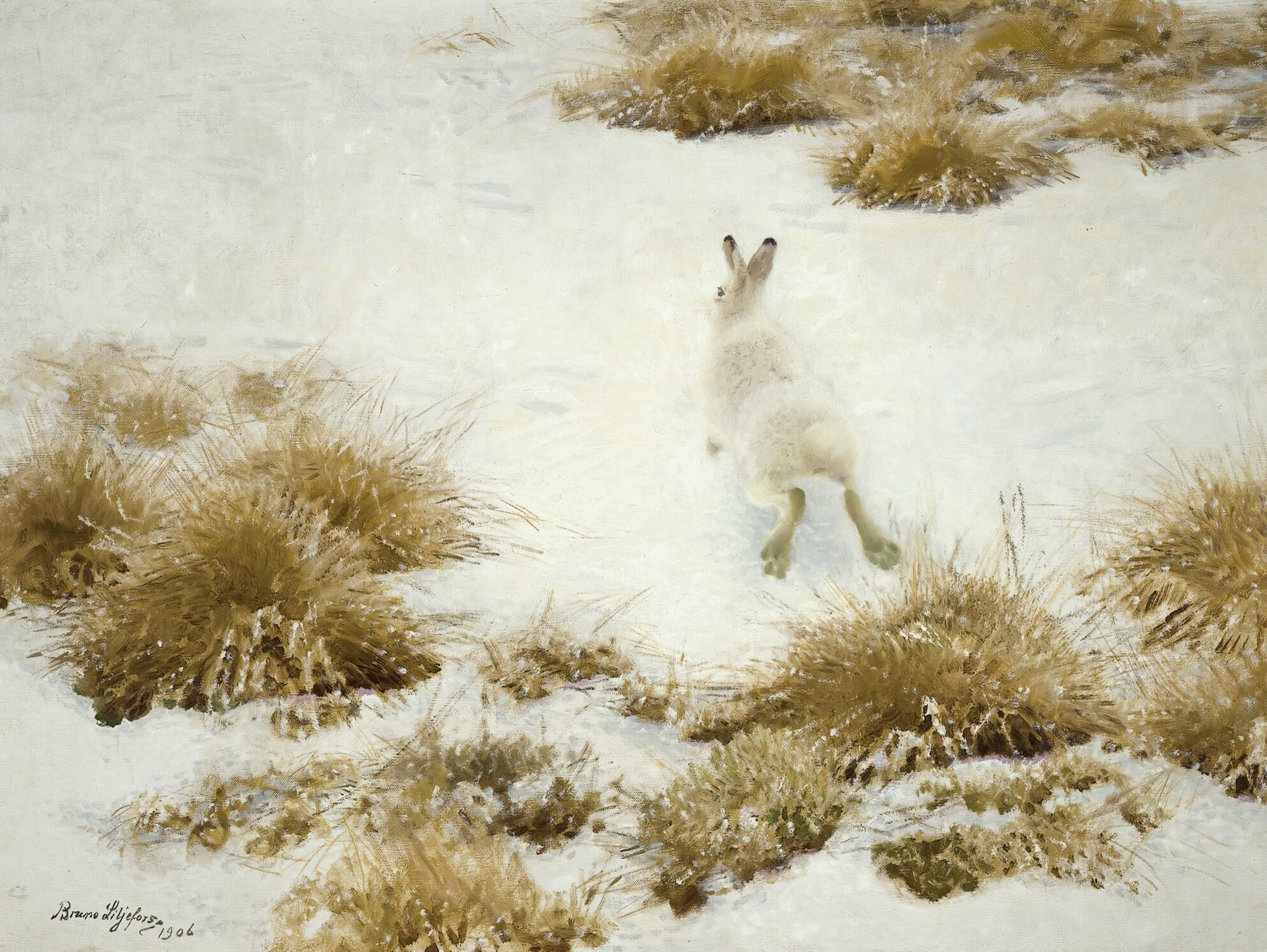 Vinterhare Bland Tuvor (The Snow Hare), by Bruno Liljefors, public domain