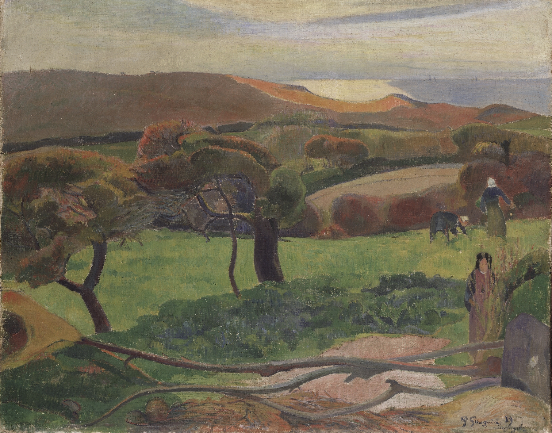 Les Champs au bord de la mer, by Paul Gauguin, public domain