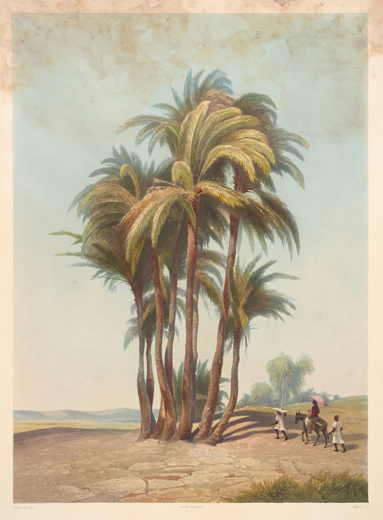 Bouquet de palmiers (Cluster of palm trees), by Hector Horeau, public domain