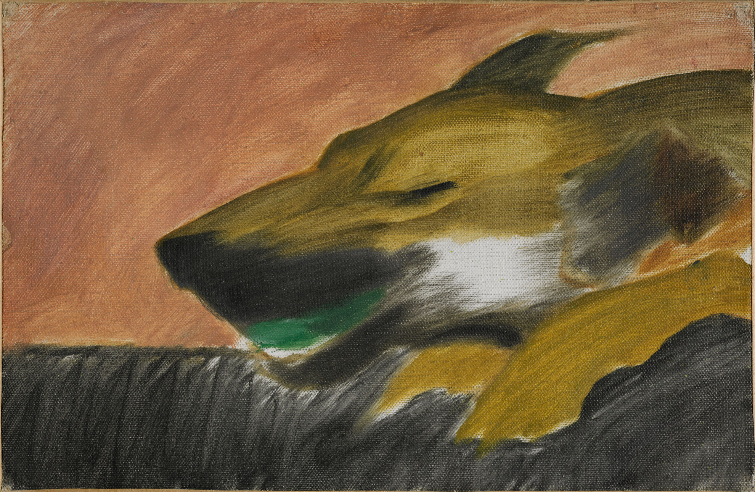 Dog in Motion, by Joseph Stella, public domain