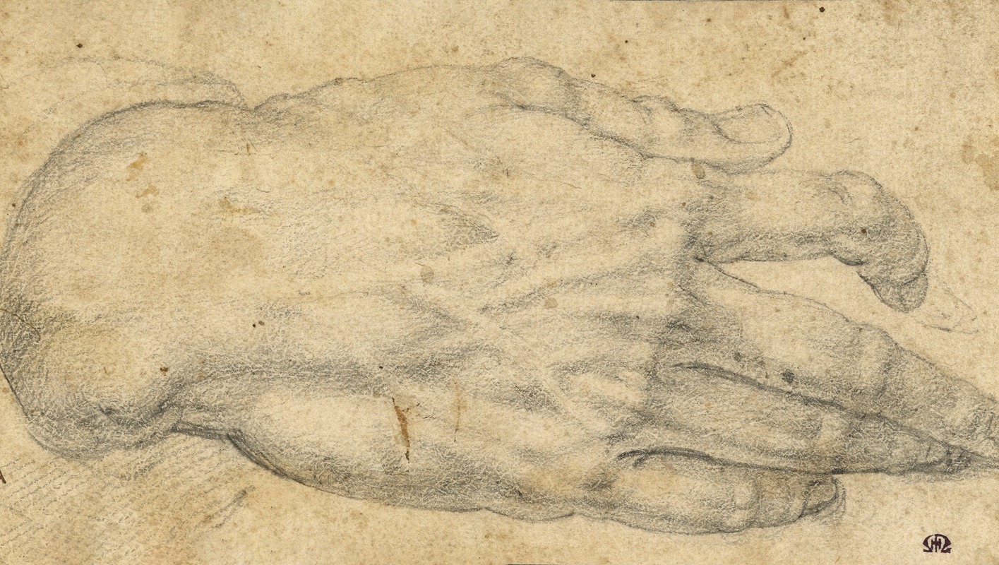 Agnolo Bronzino's 'Study of a man’s right hand' showcases intricate details of a hand.