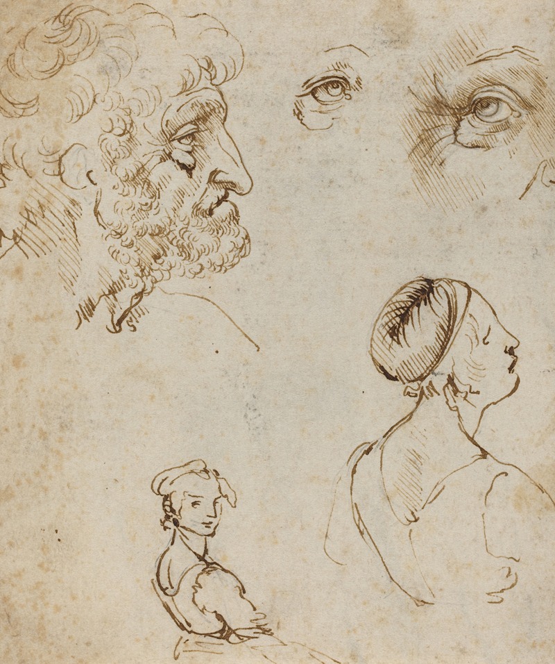 A study sheet by Leonardo da Vinci showcasing various sketches and ideas.