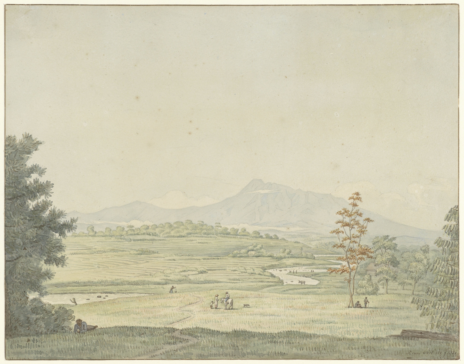 Landschap op Java, oil on canvas by Pieter van Oort Hzn, depicting lush foliage in a tropical landscape.