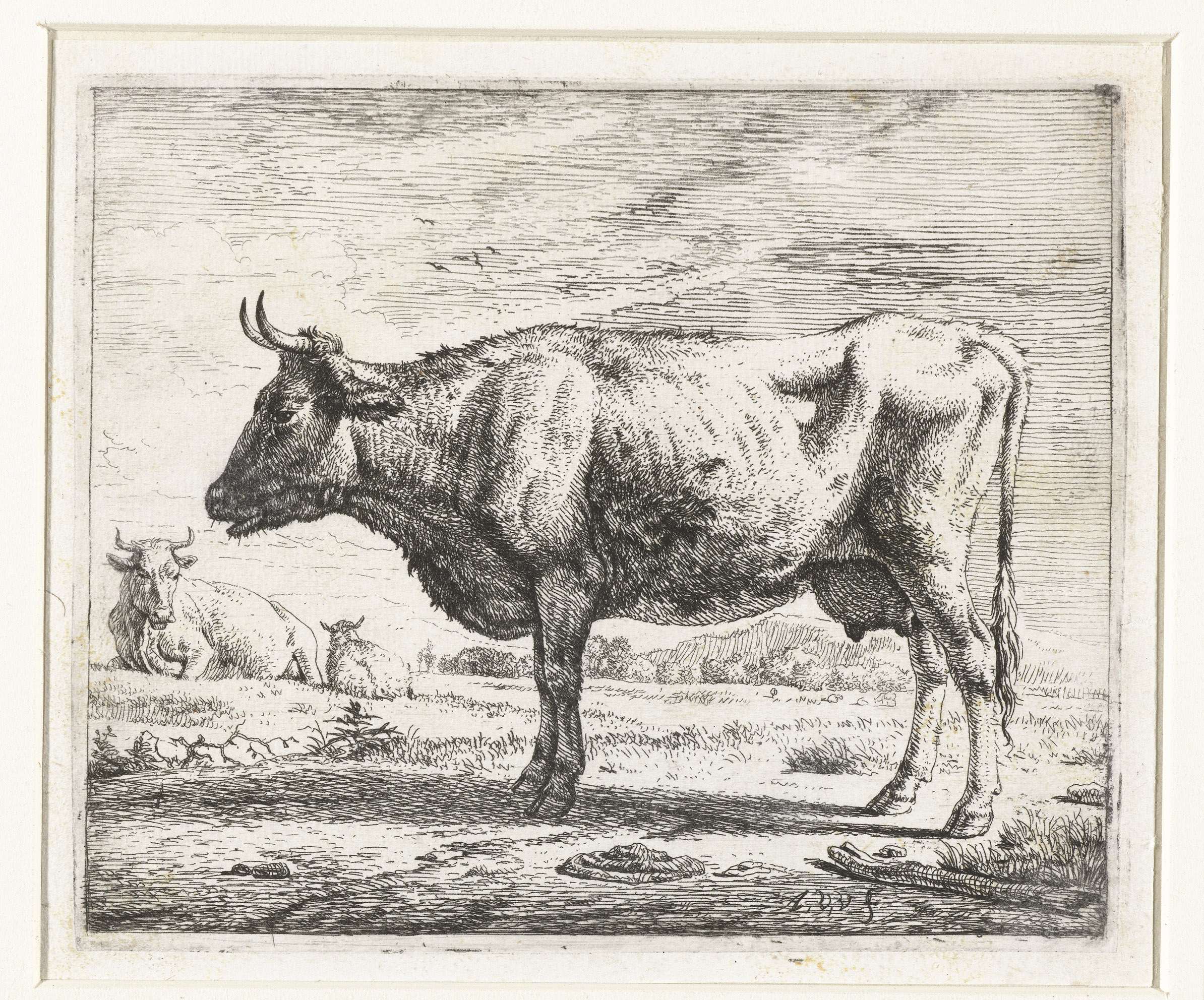 Twee koeien en een schaap, by Adriaen van de Velde, public domain