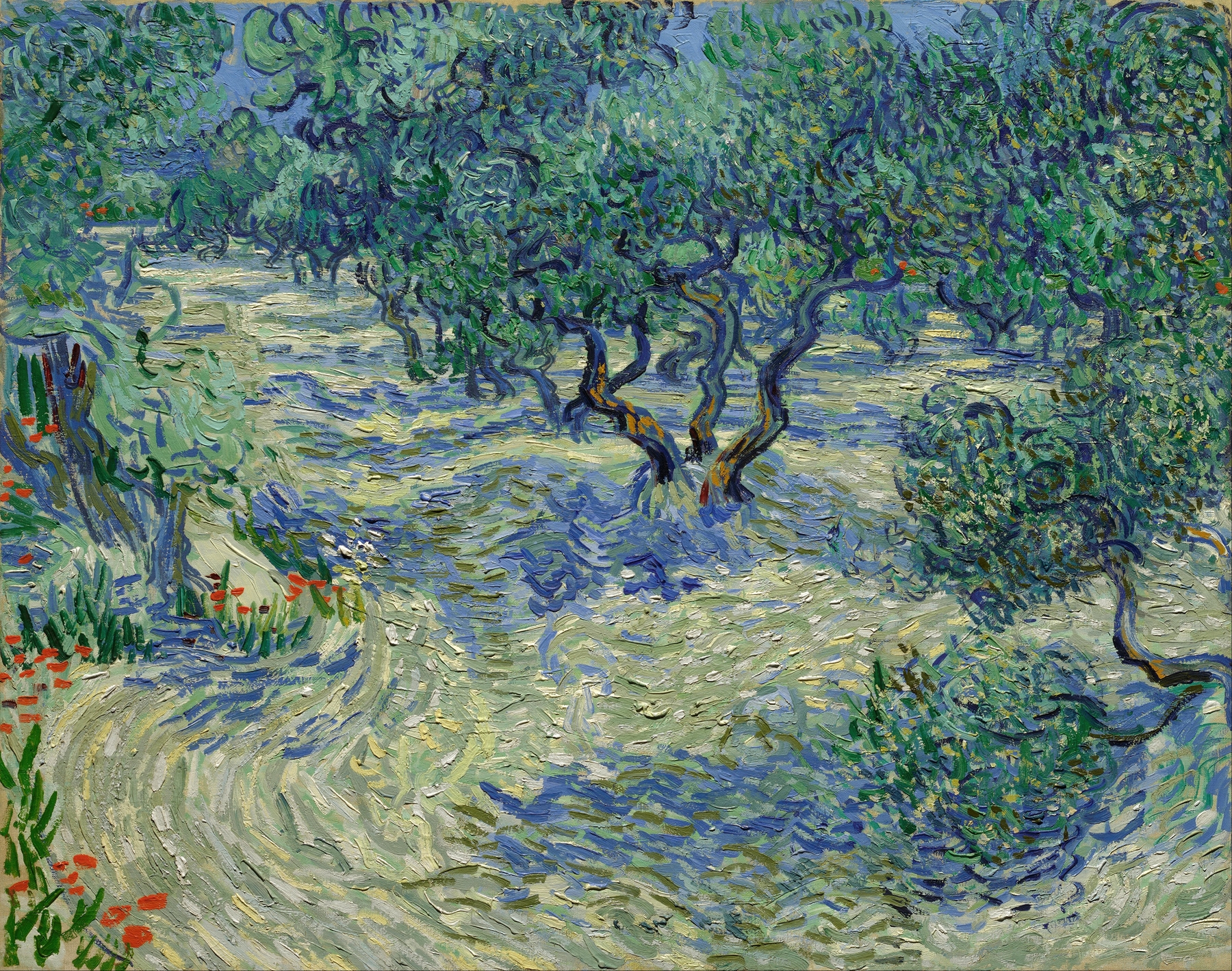 Olive Orchard, by Vincent van Gogh, public domain