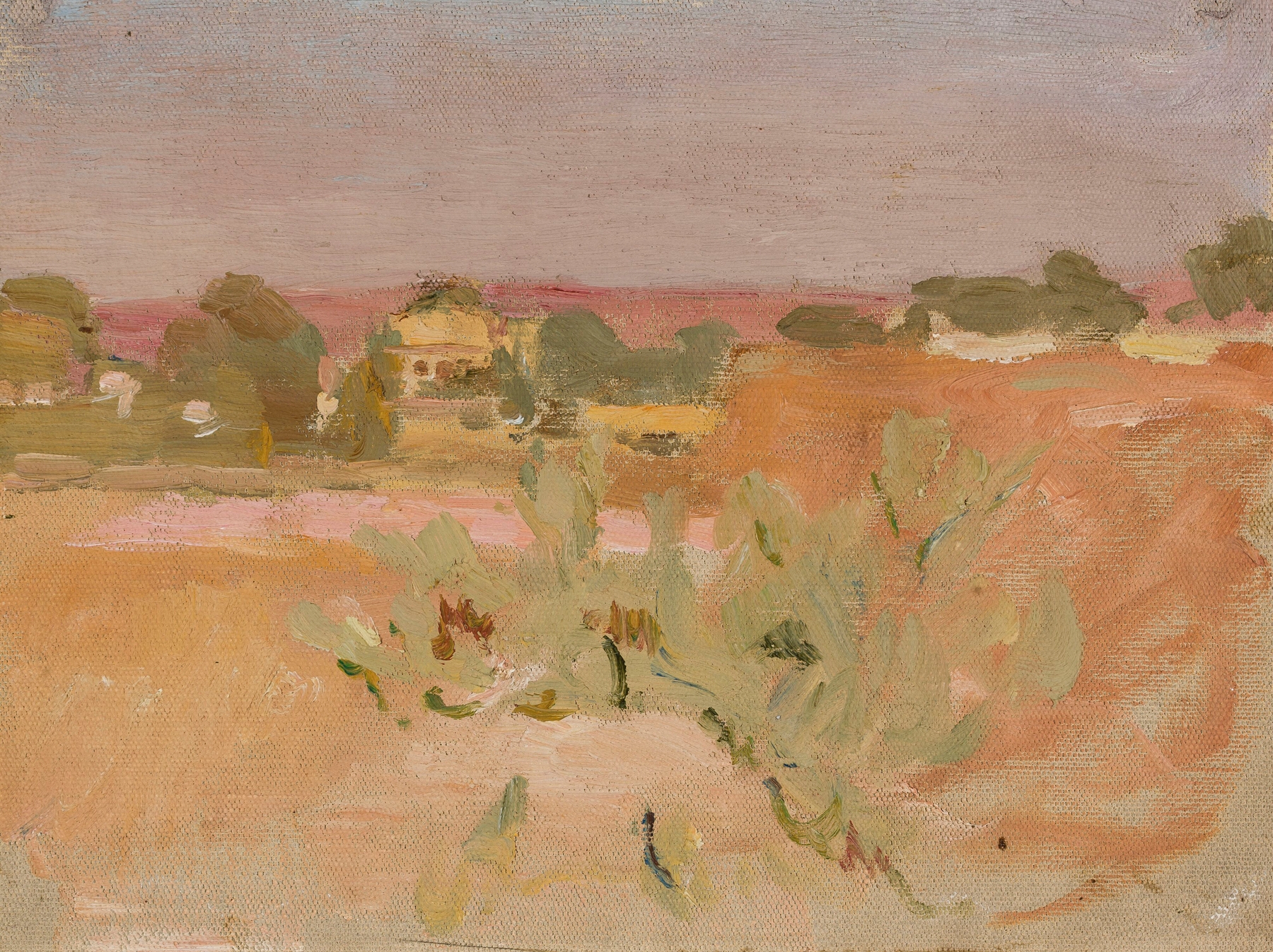 Pink landscape with cactuses, oil on canvas by Jan Ciągliński