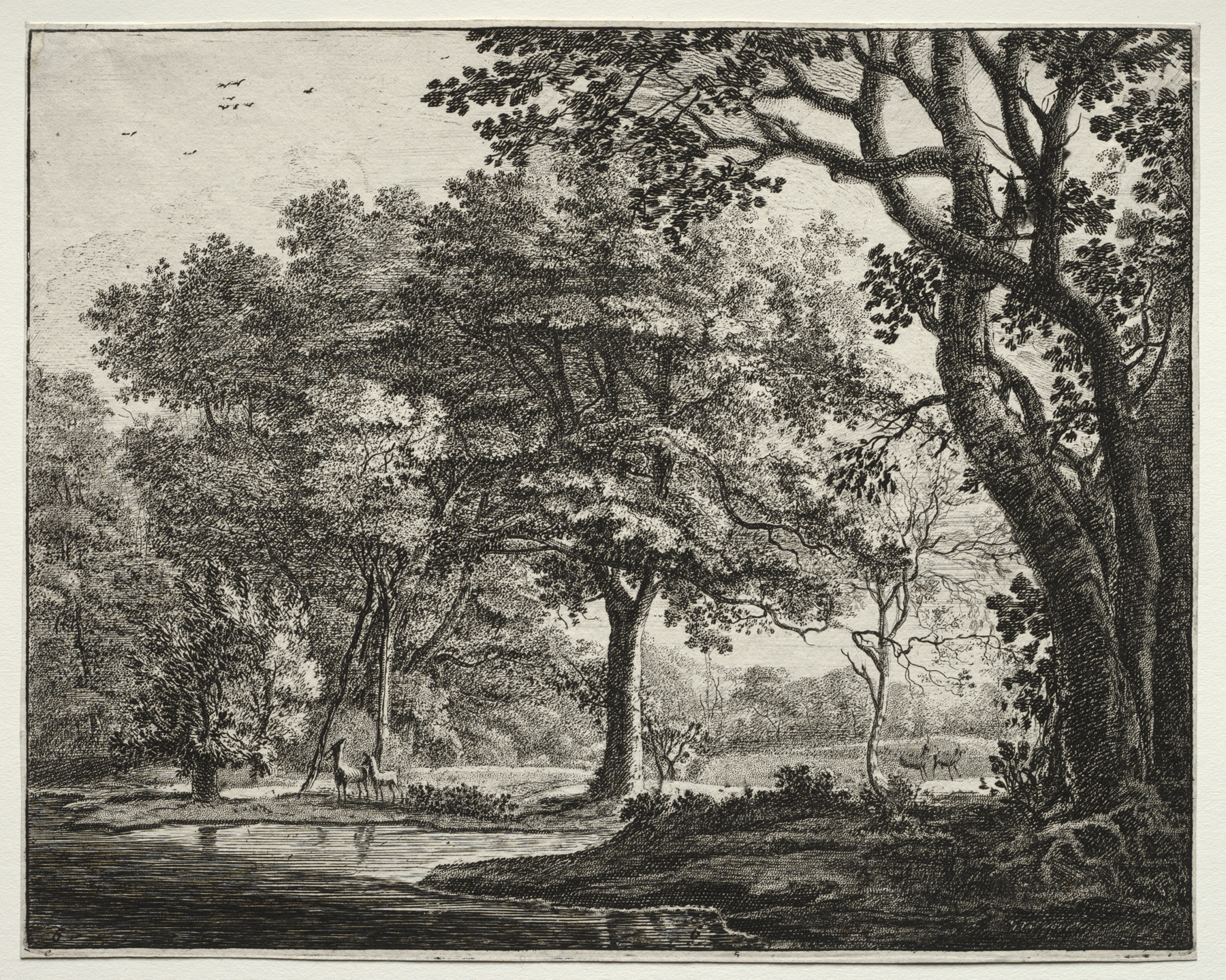 Two Deer by Roelant Roghman, oil on panel, depicting two deer in a serene forest.